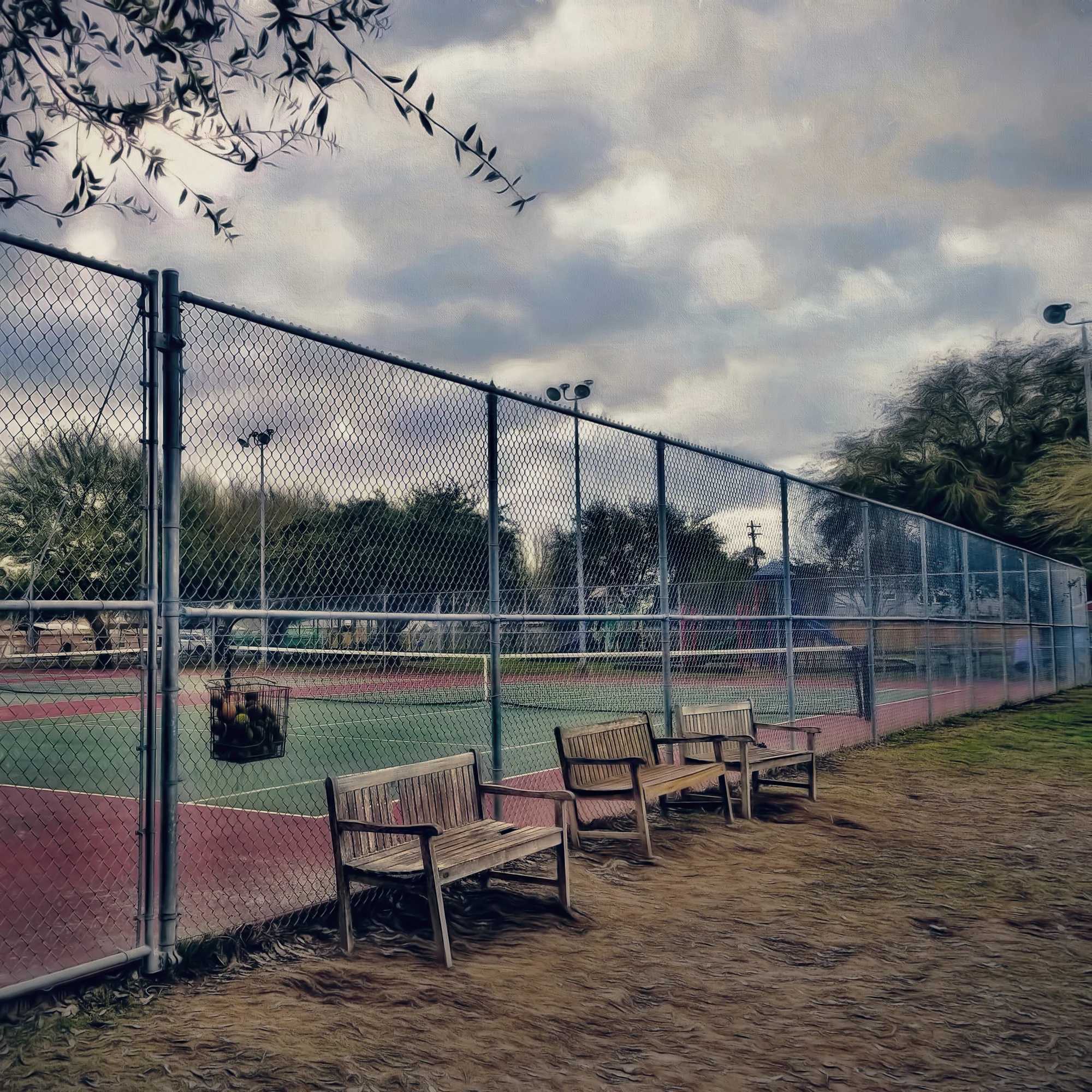 Dog Park-13.jpg