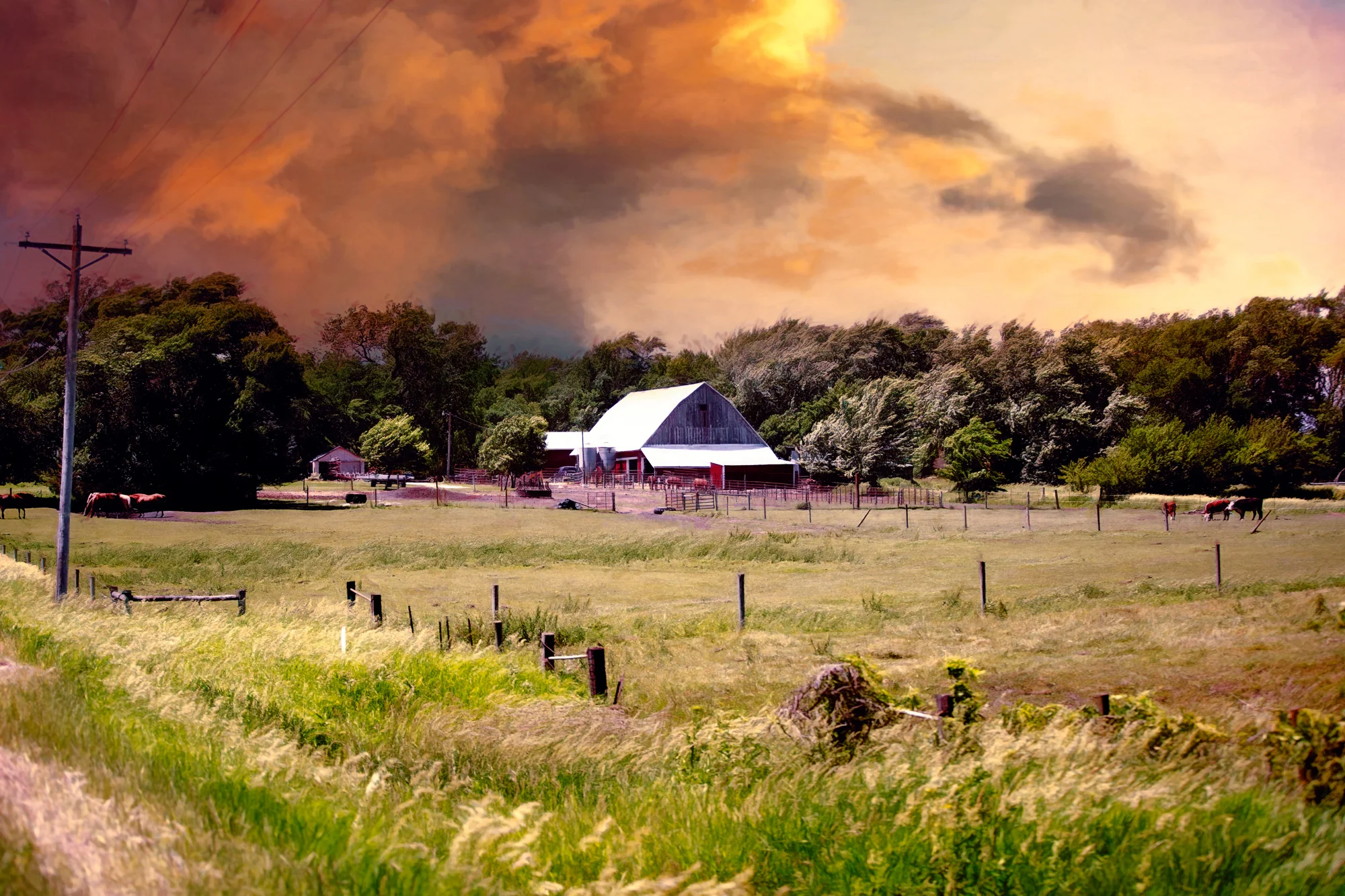 The Old Farm-52.jpg