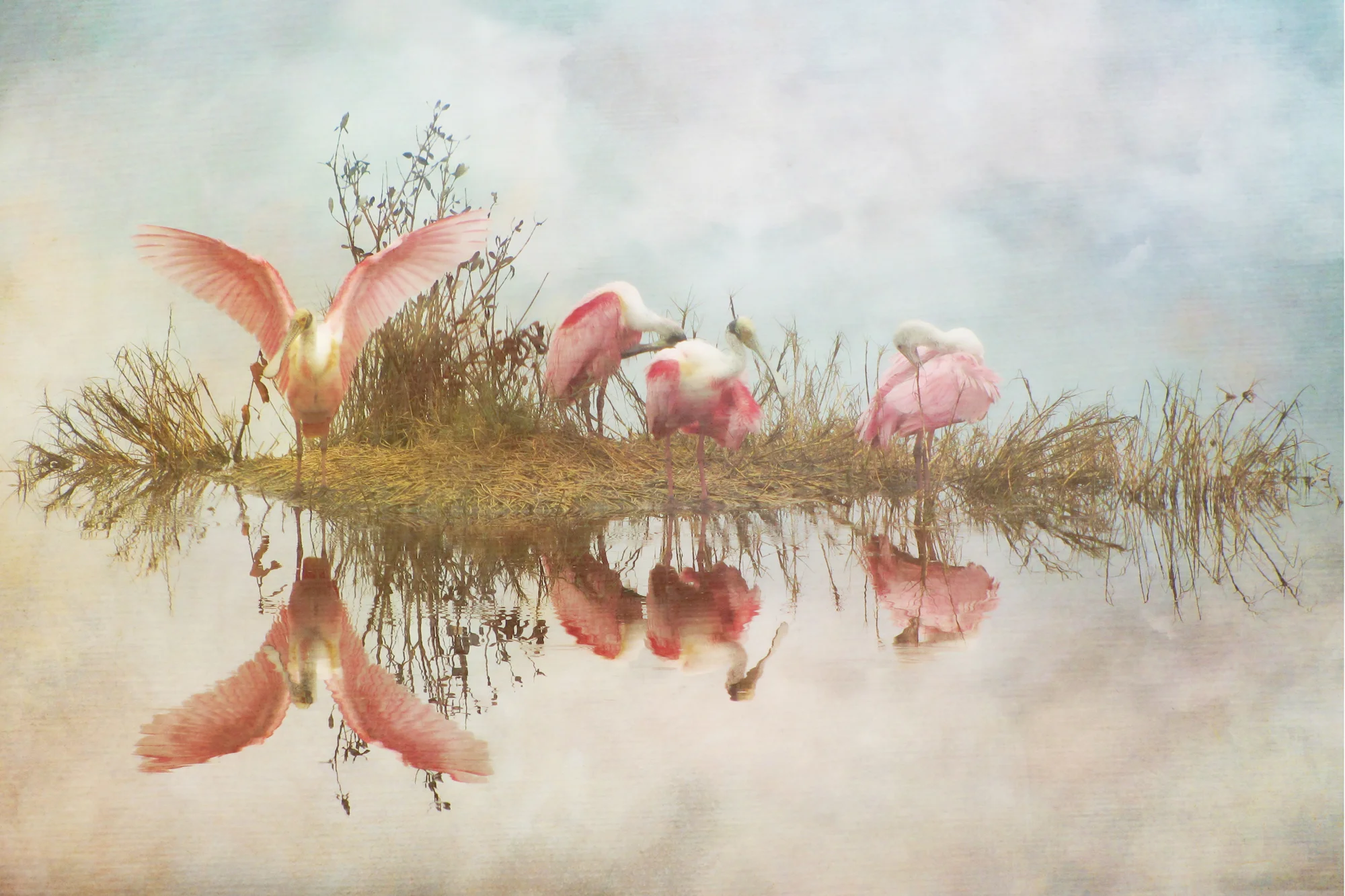 Spoonbills 2 (16x24)-64.jpg
