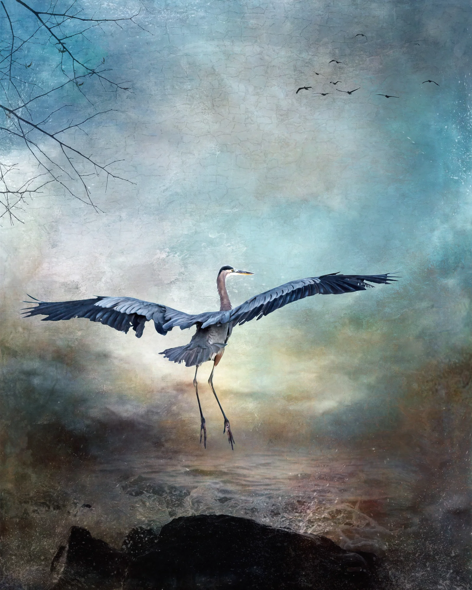 Blue Heron-82.jpg