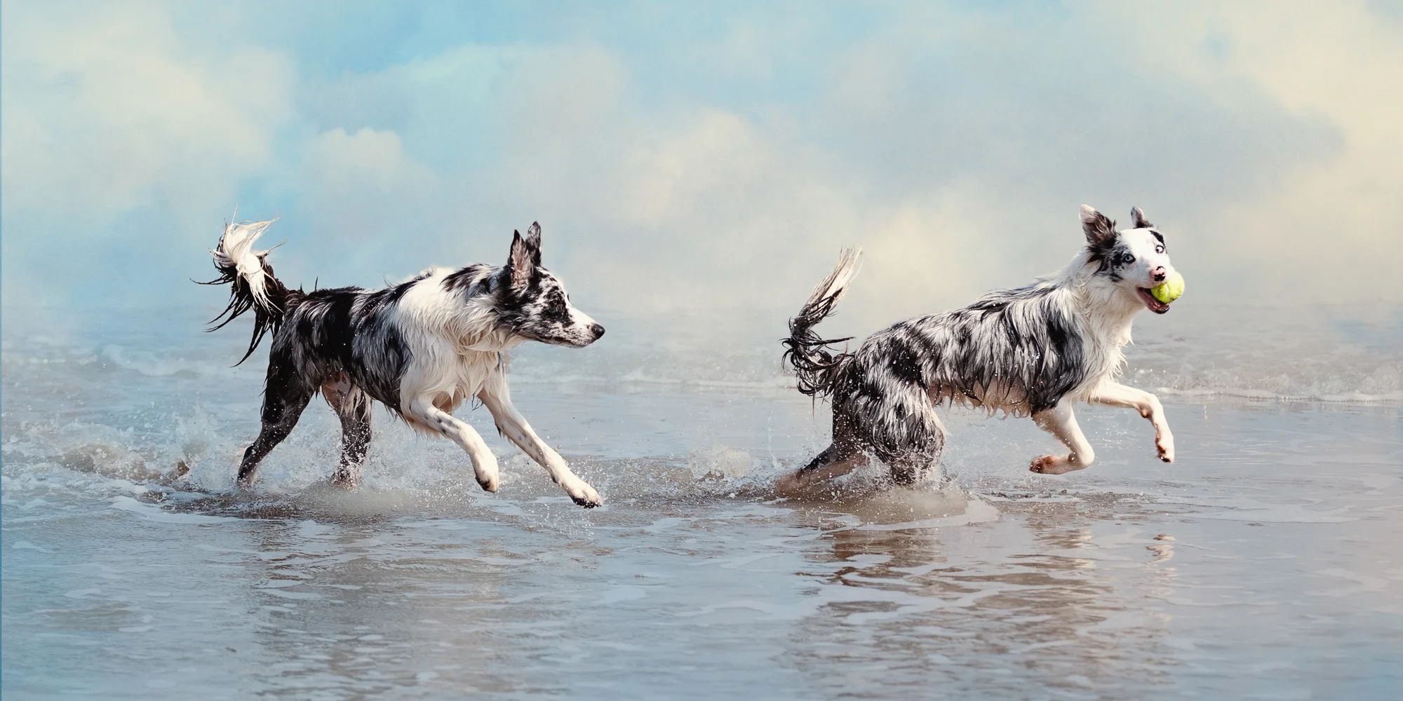 Ollie and Cecil-3.jpg