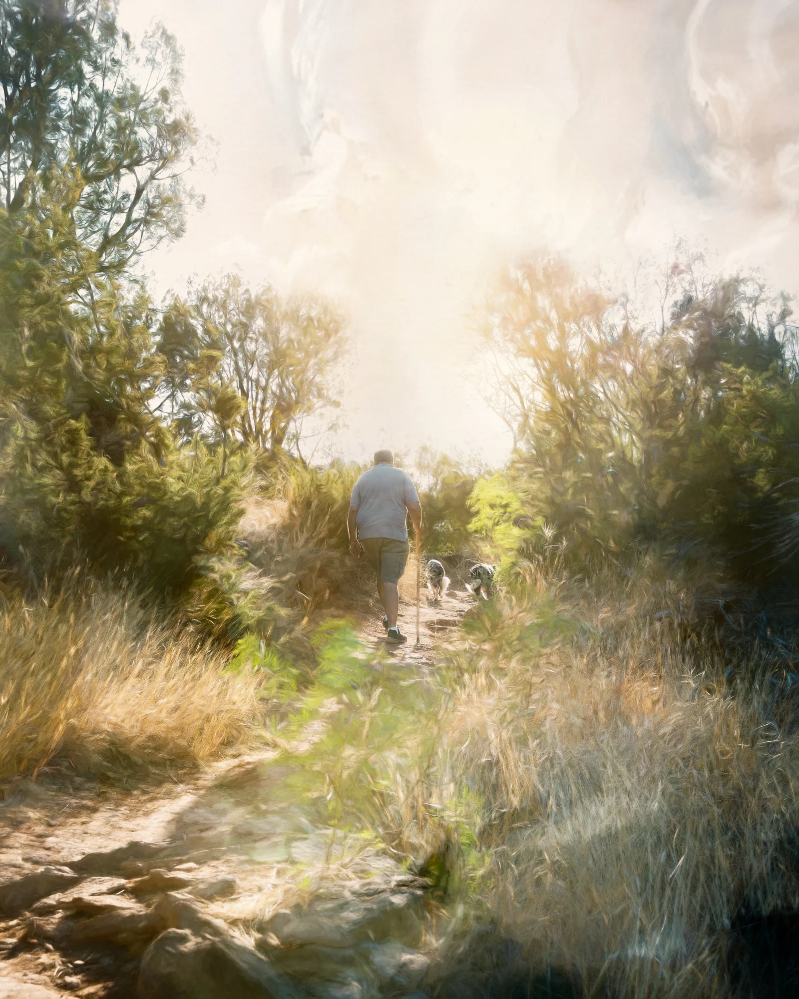 Trail-1.jpg