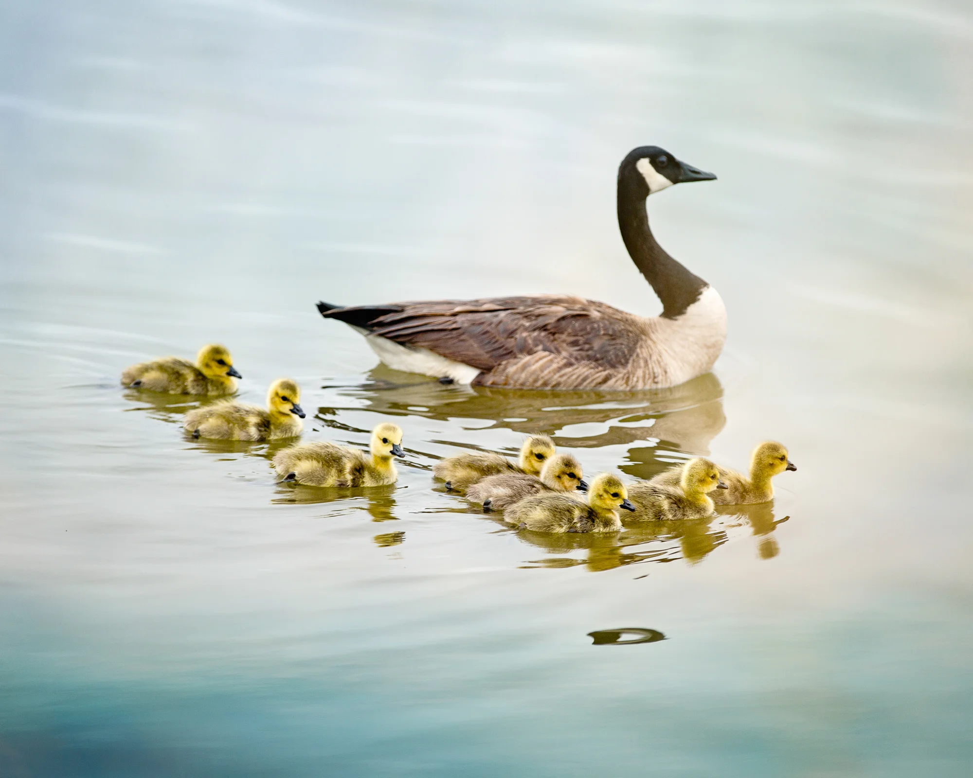 Best Photography-4.jpg