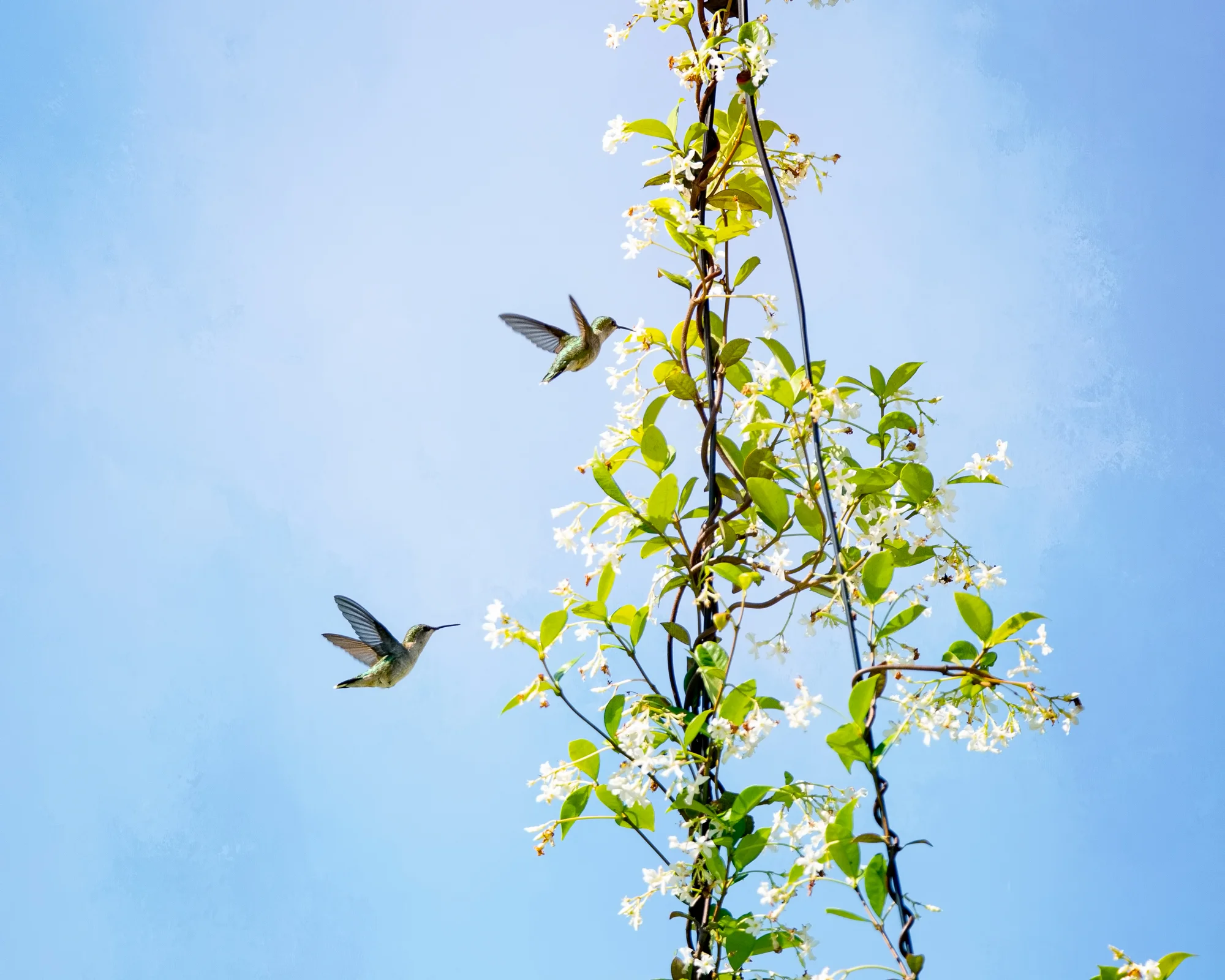 Best Photography-7.jpg