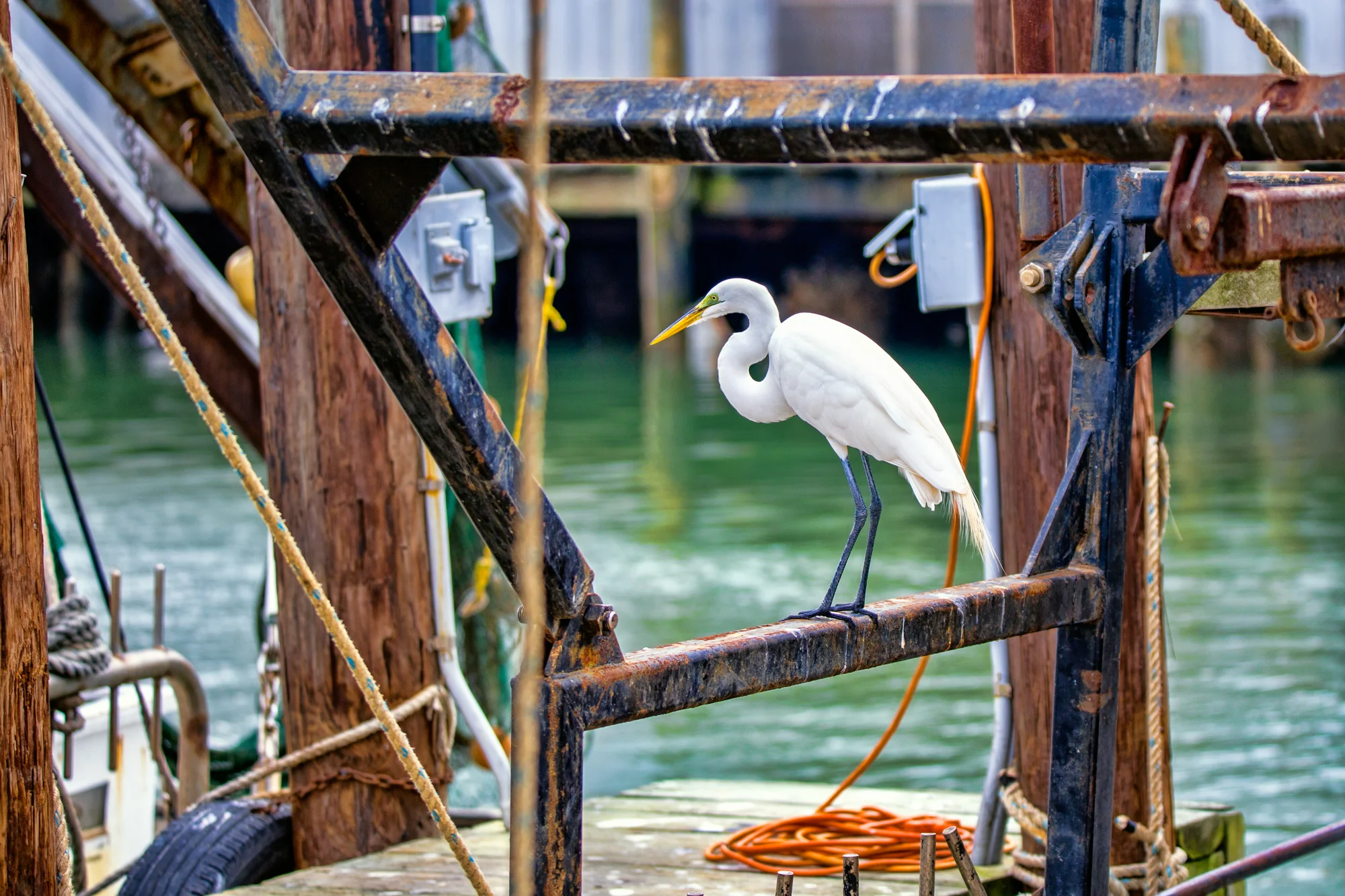Best Photography-23.jpg