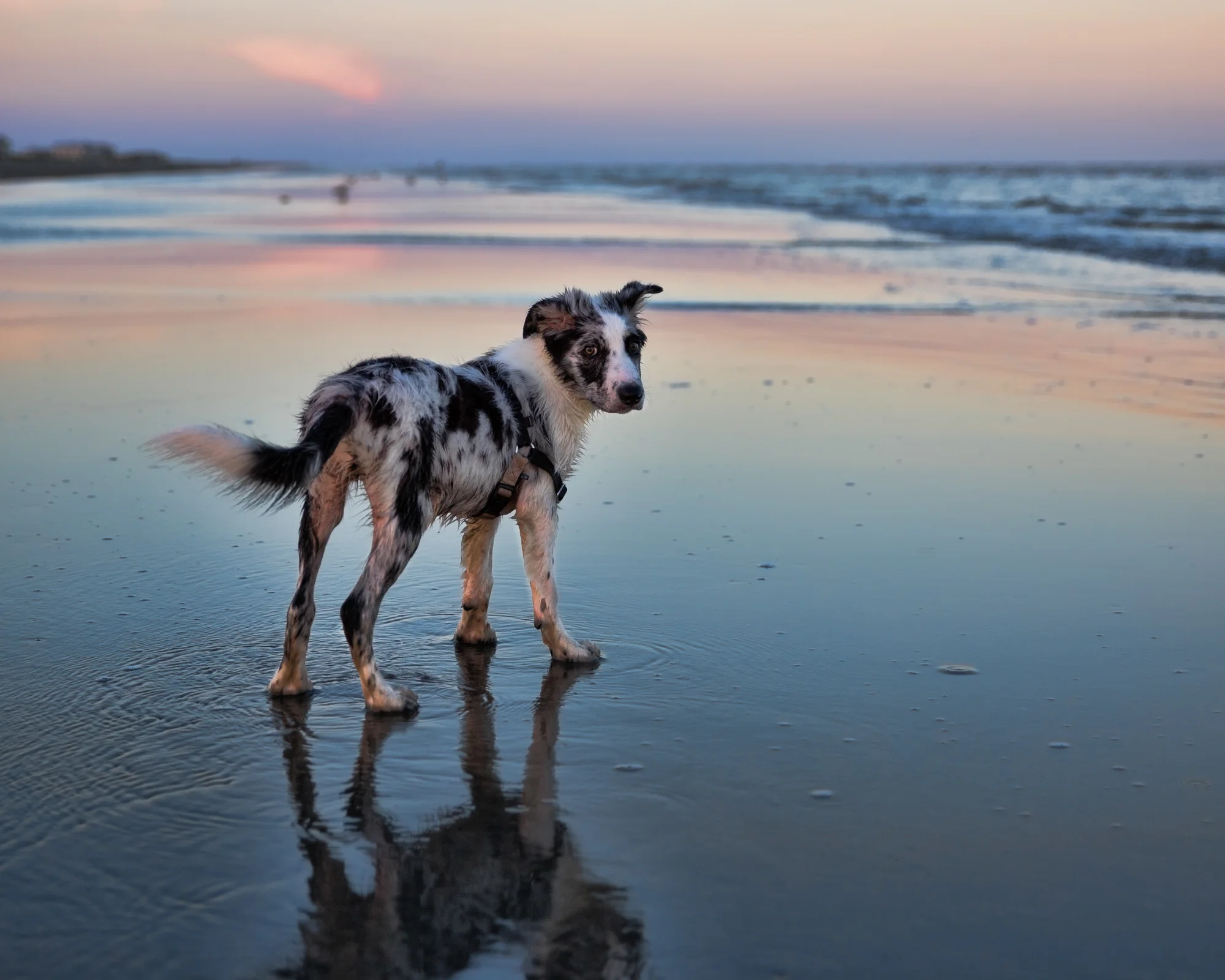 Best Photography-13.jpg