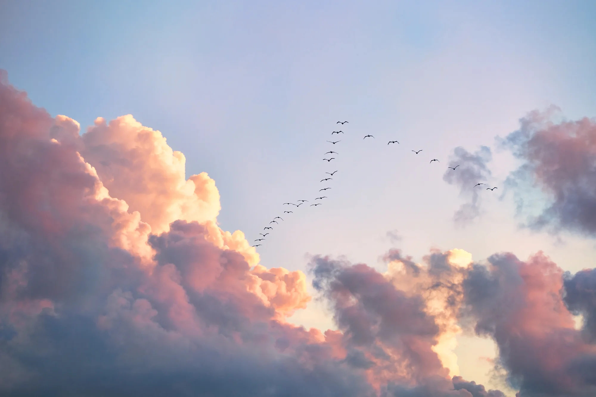 Best Photography-16.jpg