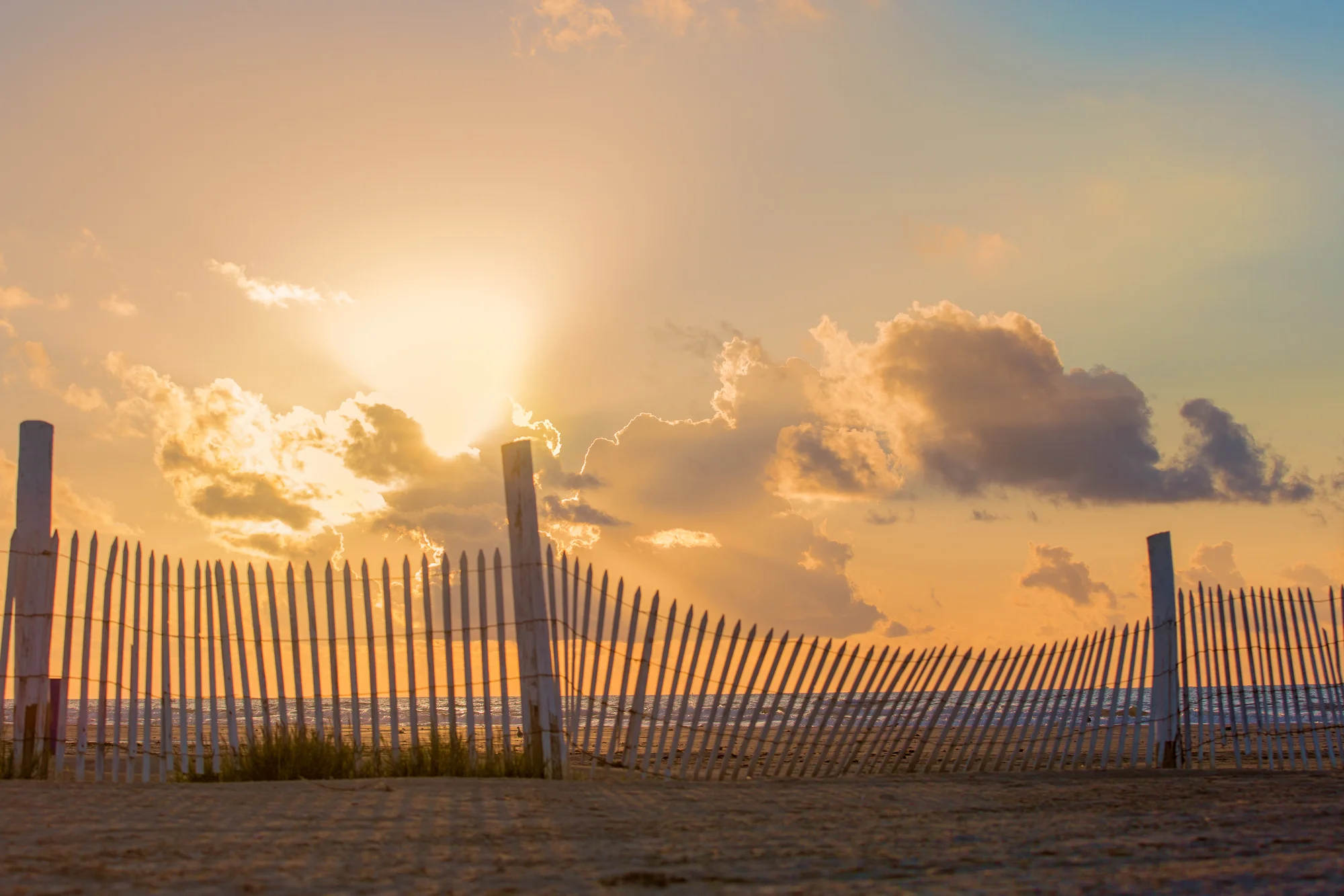 Best Photography-41.jpg