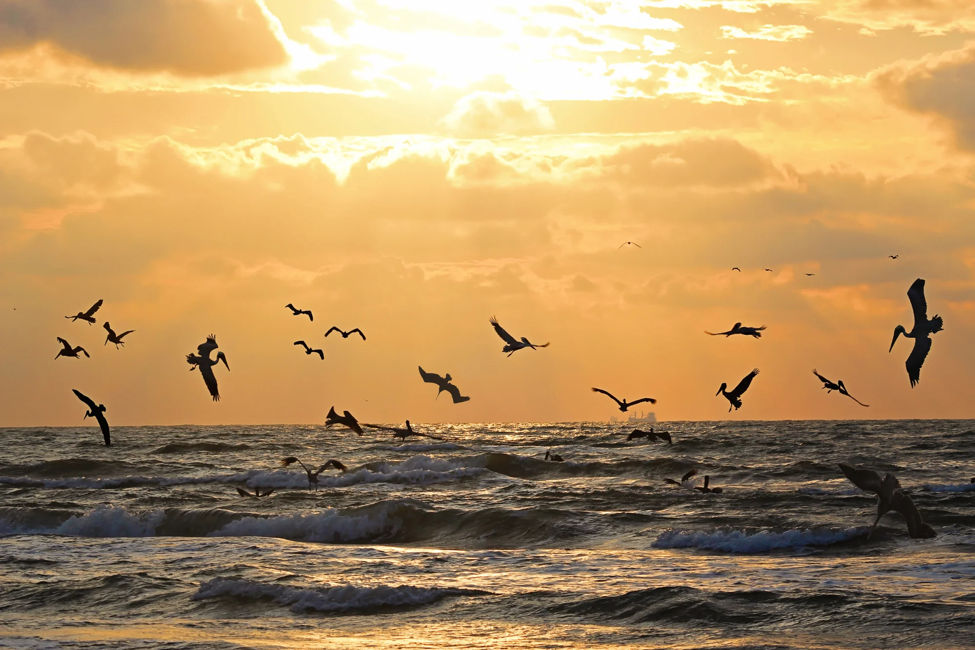 Best Photography-63.jpg