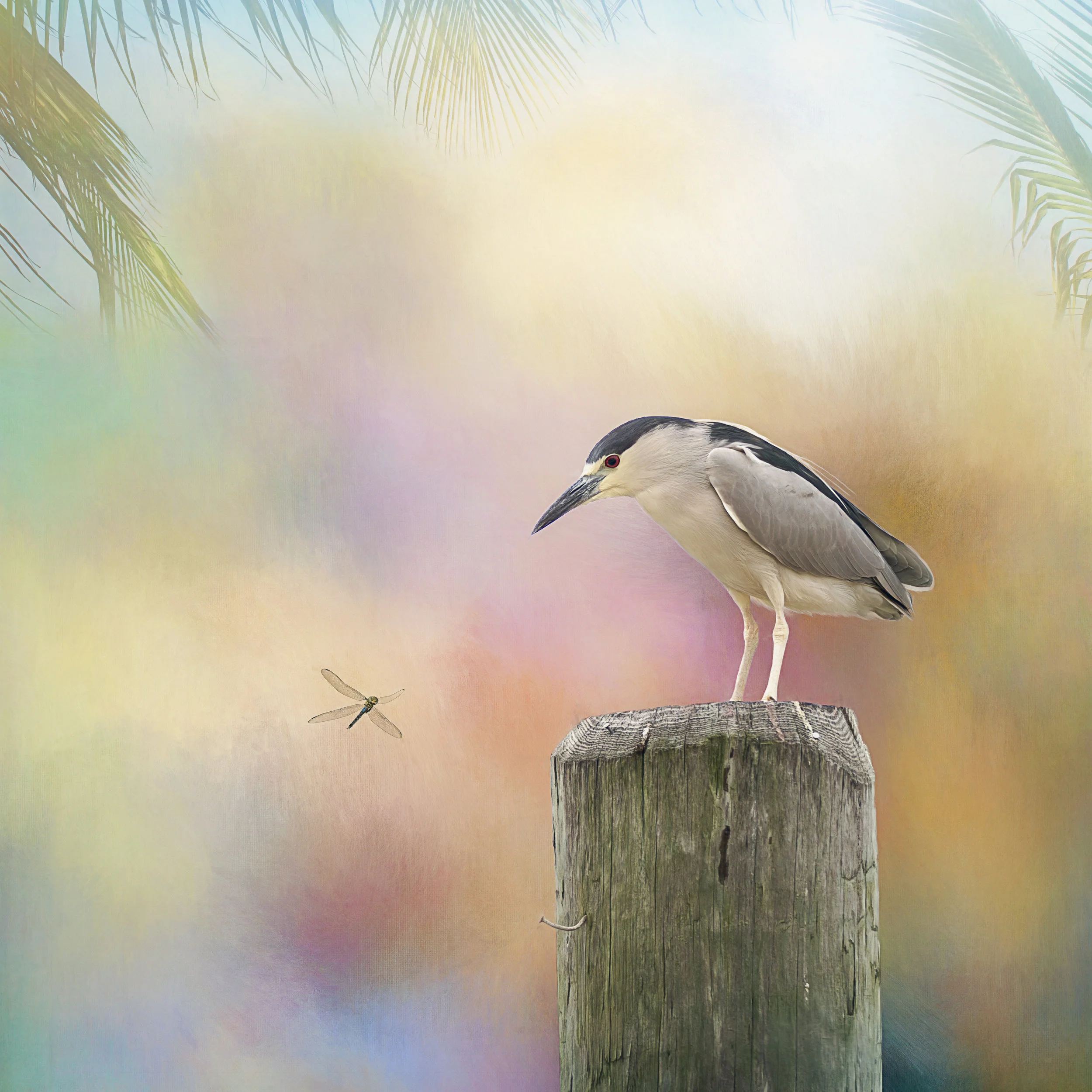 Sea Bird.jpg