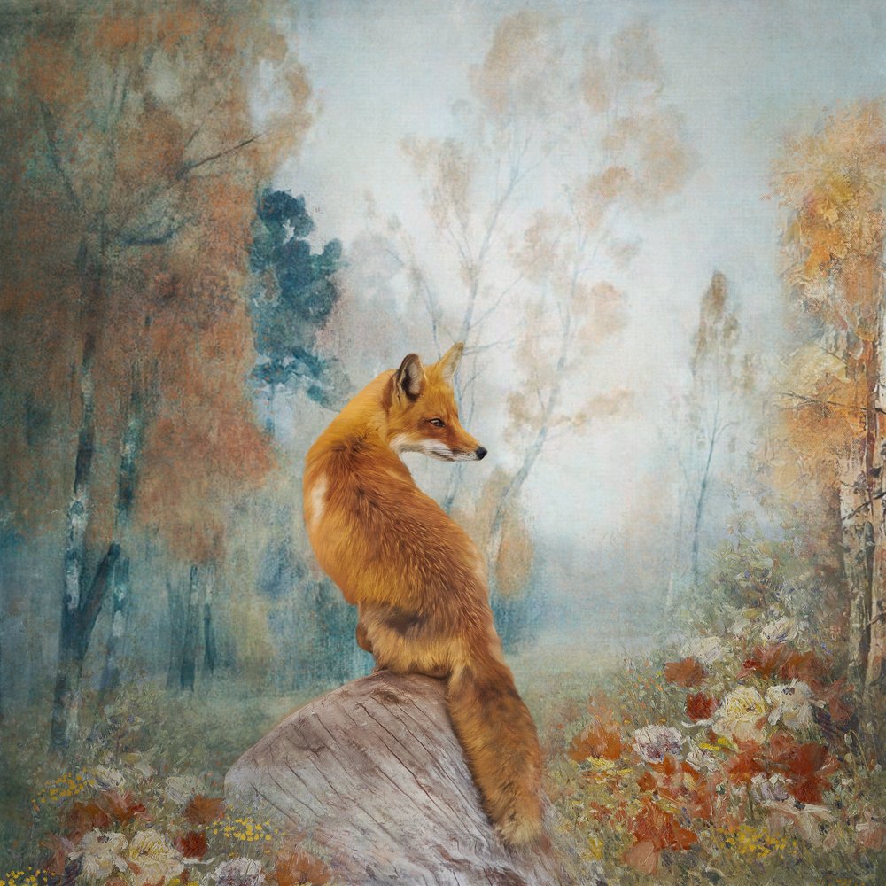 Fall Fox.jpg