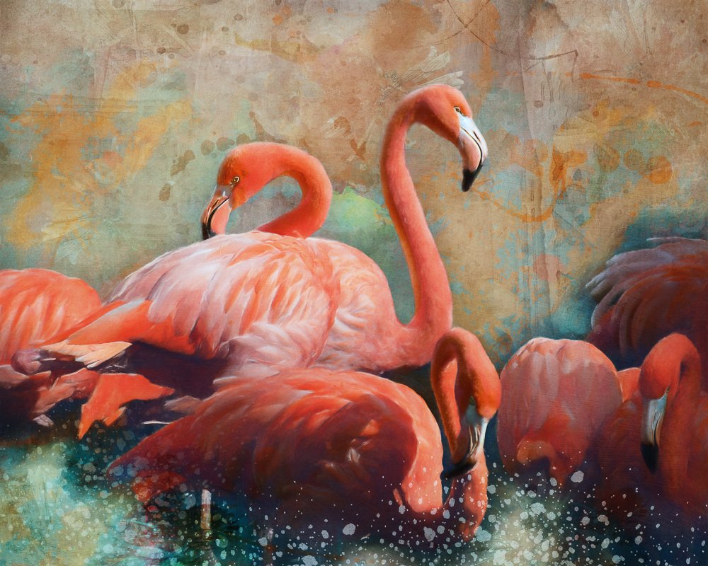 Flamingo Bath Party.jpg