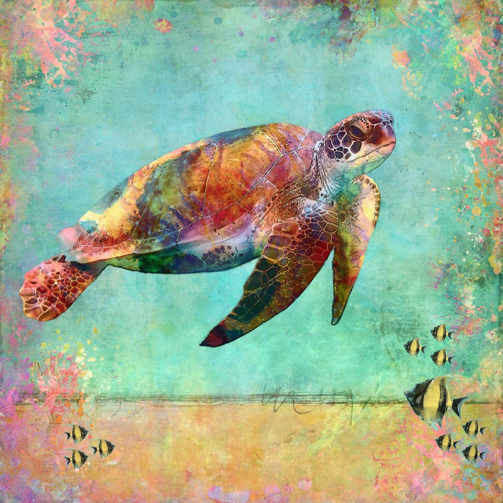 Sea Turtle_.jpg