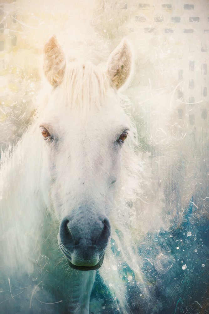 White Horse.jpg