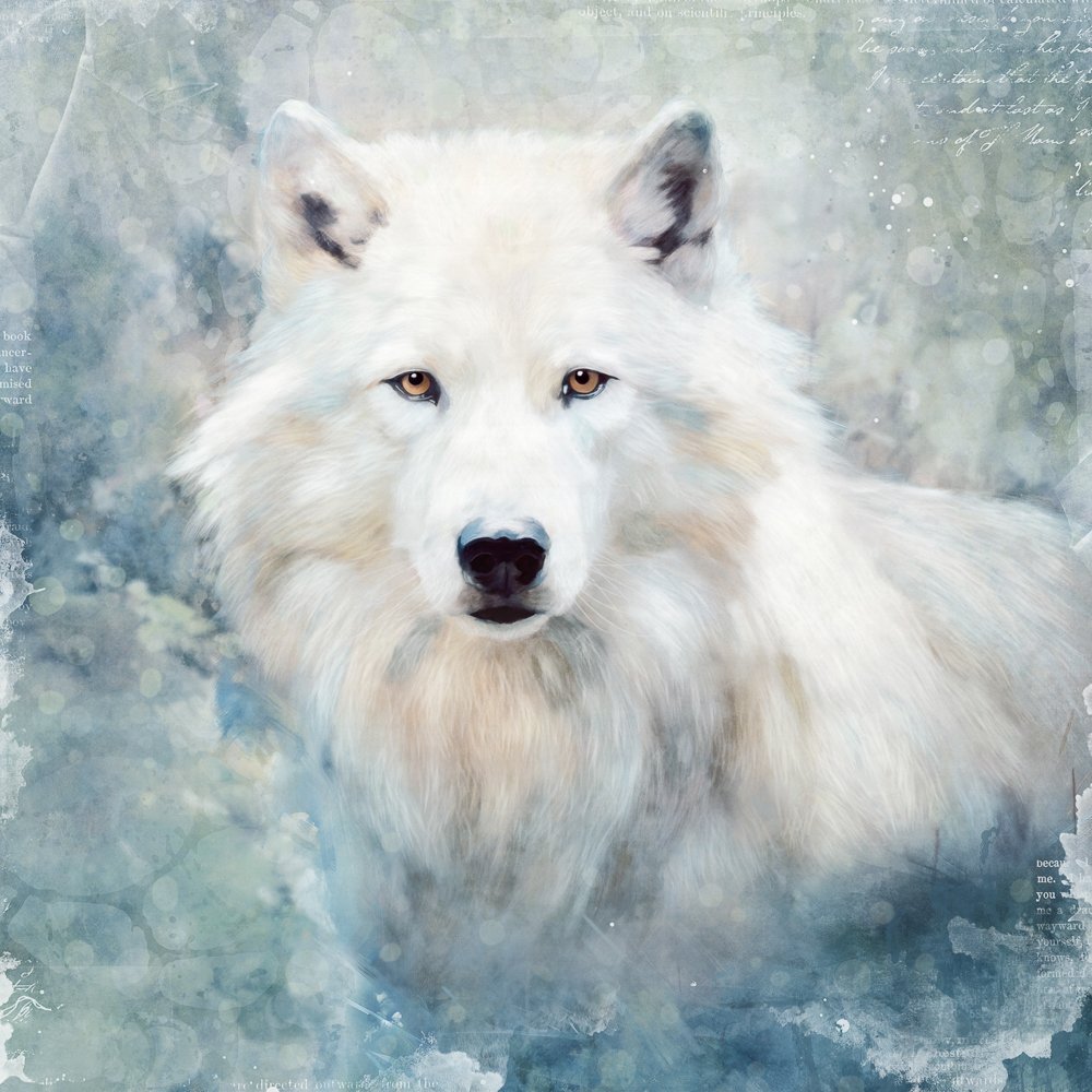 Winter Wolf.jpg