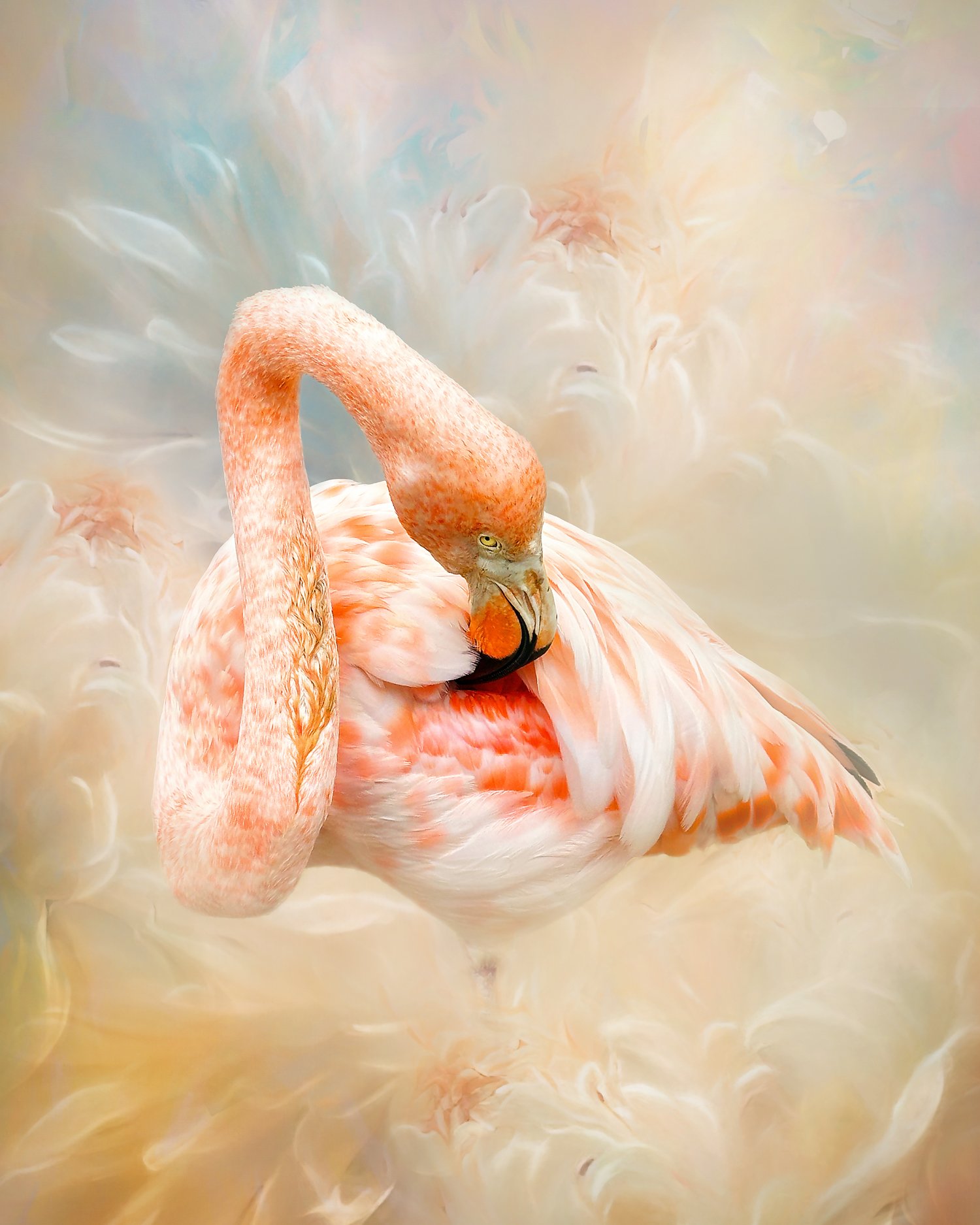 Flowery Flamingo (small).jpg