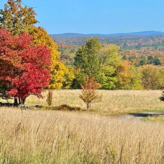 _56 (2).jpg