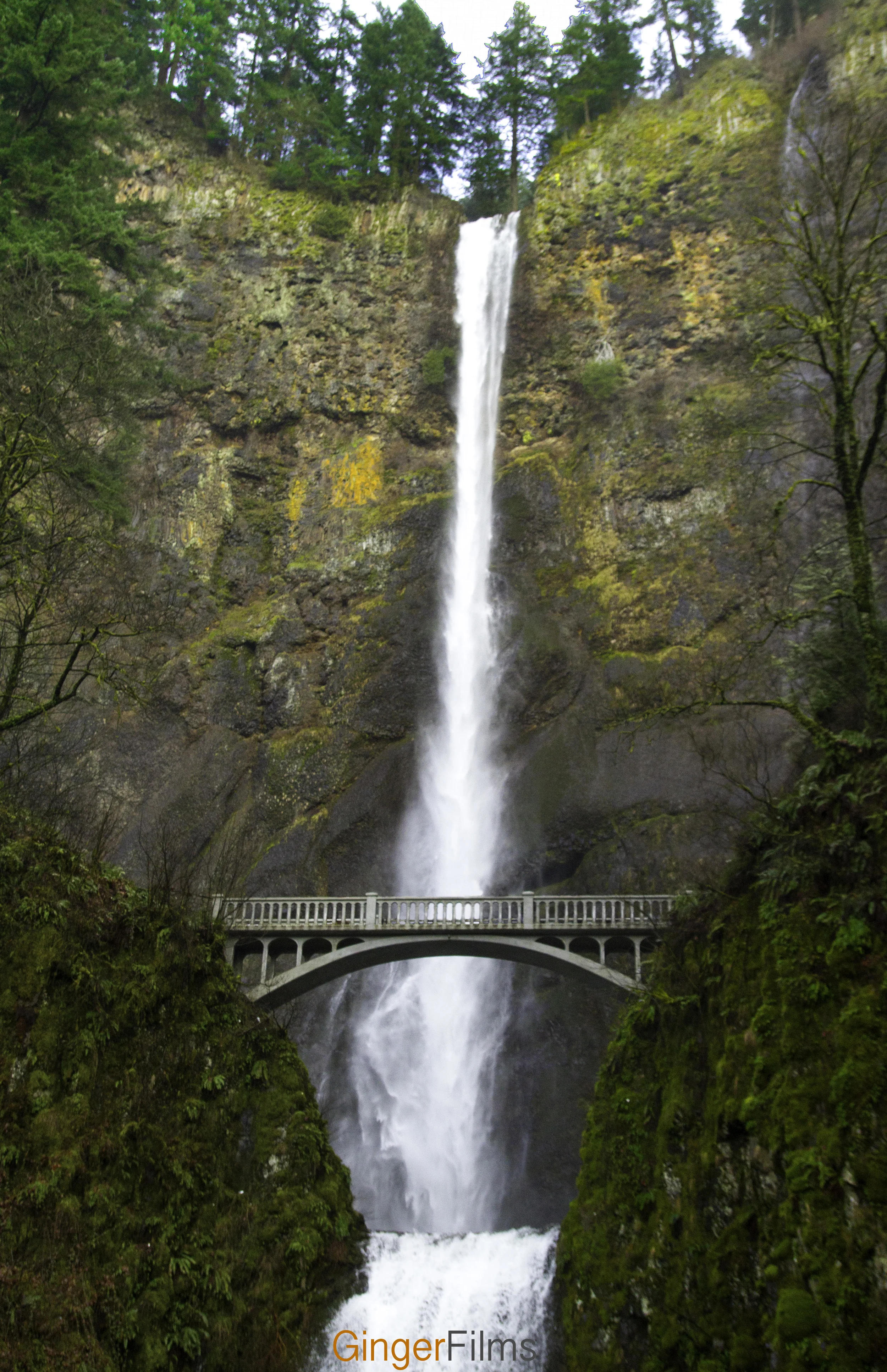 Multnomah Falls Final.jpg