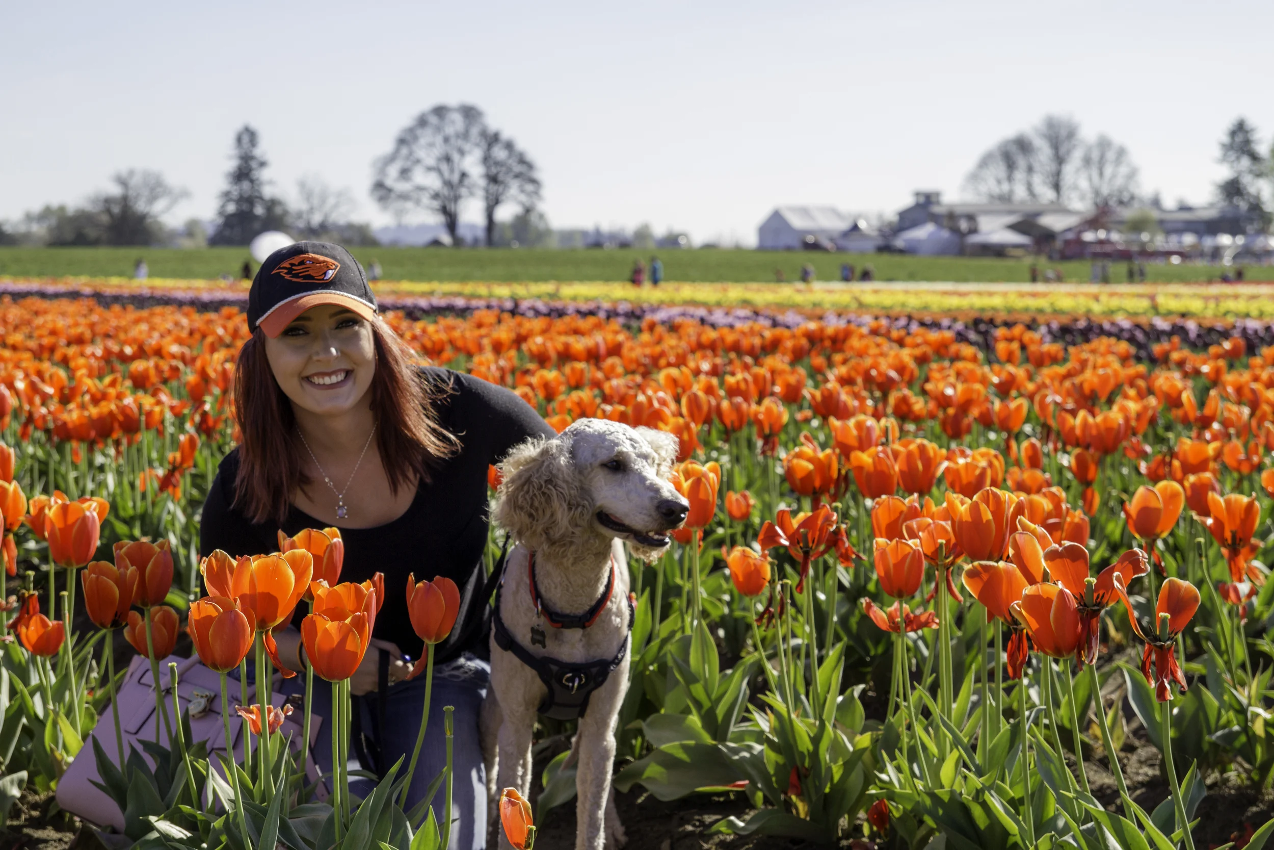 Tulip Farm - Macy1.jpg