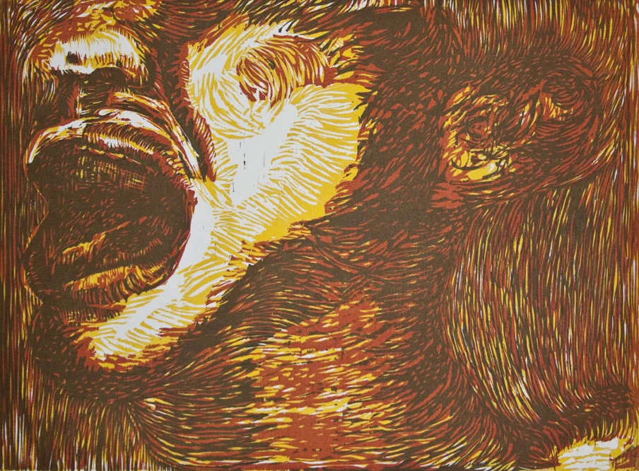 Face-Scan1.jpg