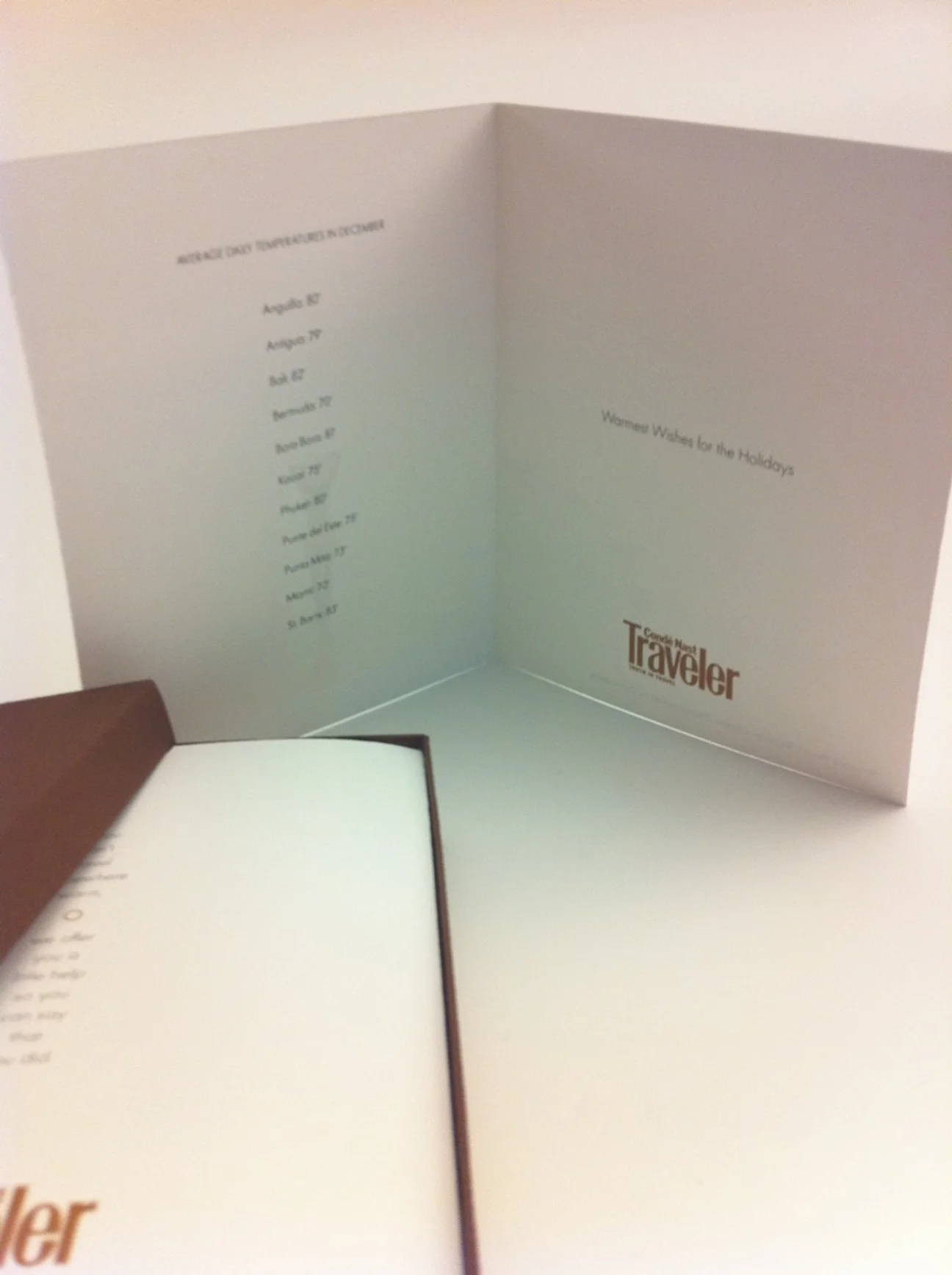 CNT holiday mailer 2.JPG