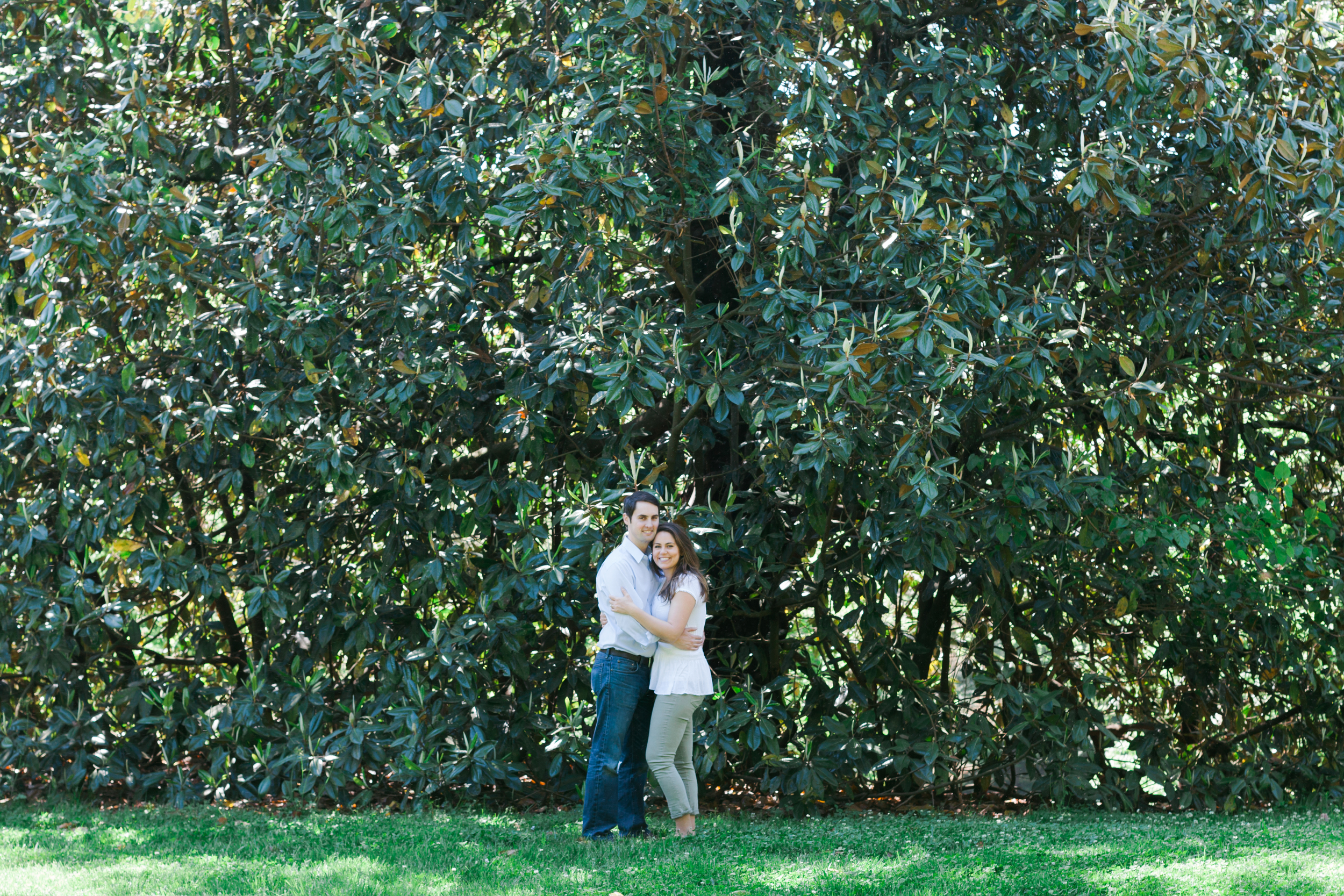 The massive magnolia trees in the park make a perfect temporary rain shelter should you ever need one...these love birds discovered this just after Logan put a ring on it a few months ago. 