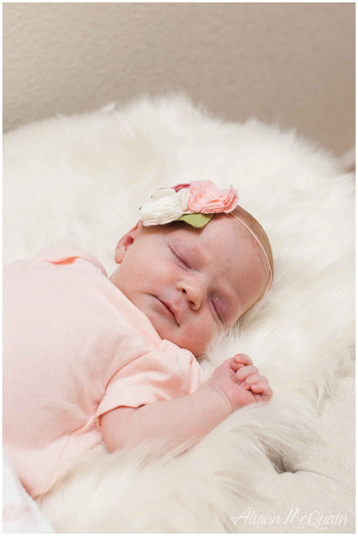 Harper_08-17_AMP_0012.jpg