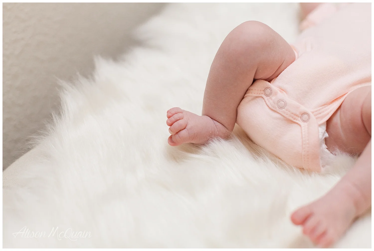 Harper_08-17_AMP_0013.jpg