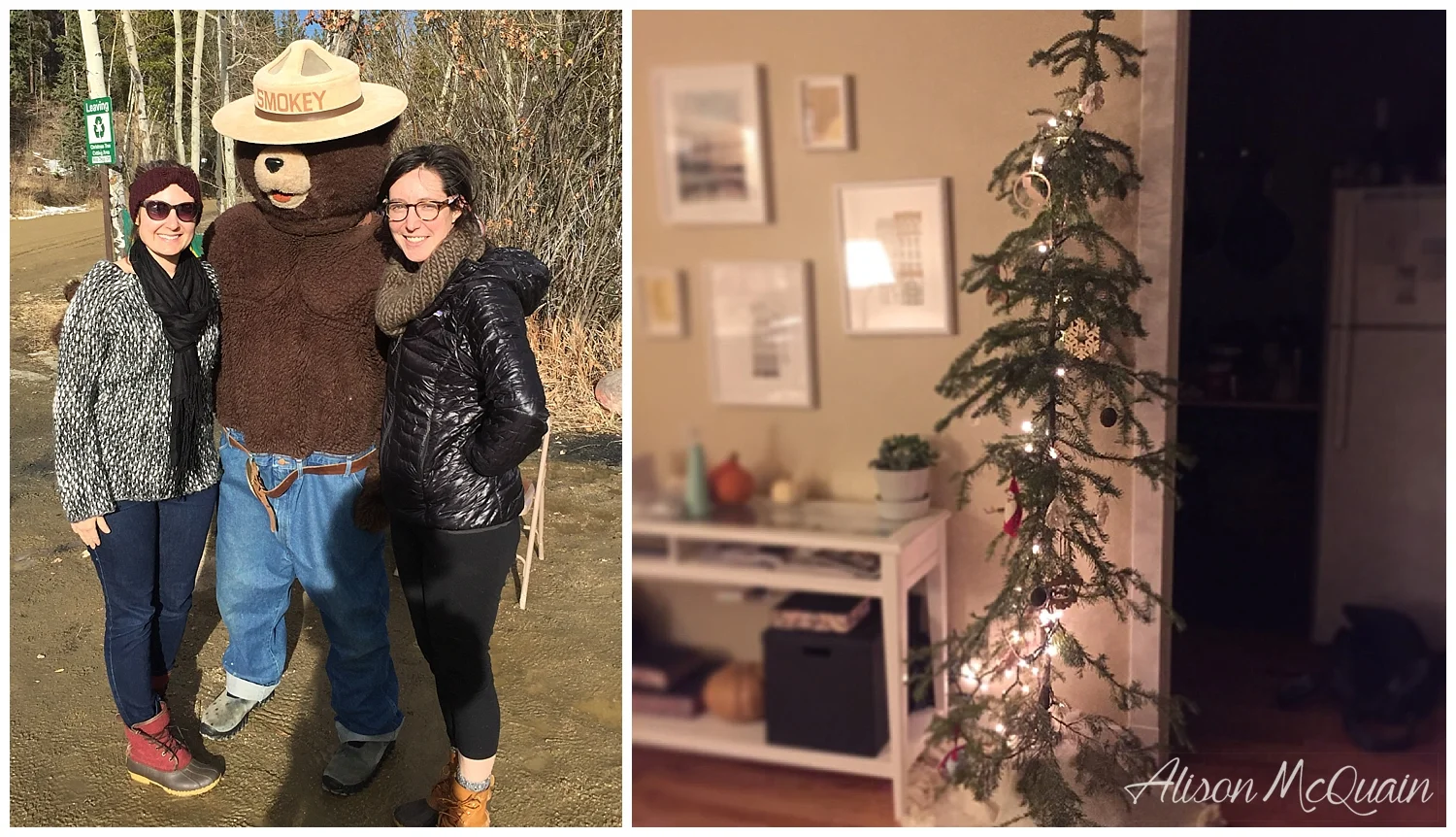 Smokey hasn't put on his winter weight yet. And, our tree in our home. From the ol' iPhone. 