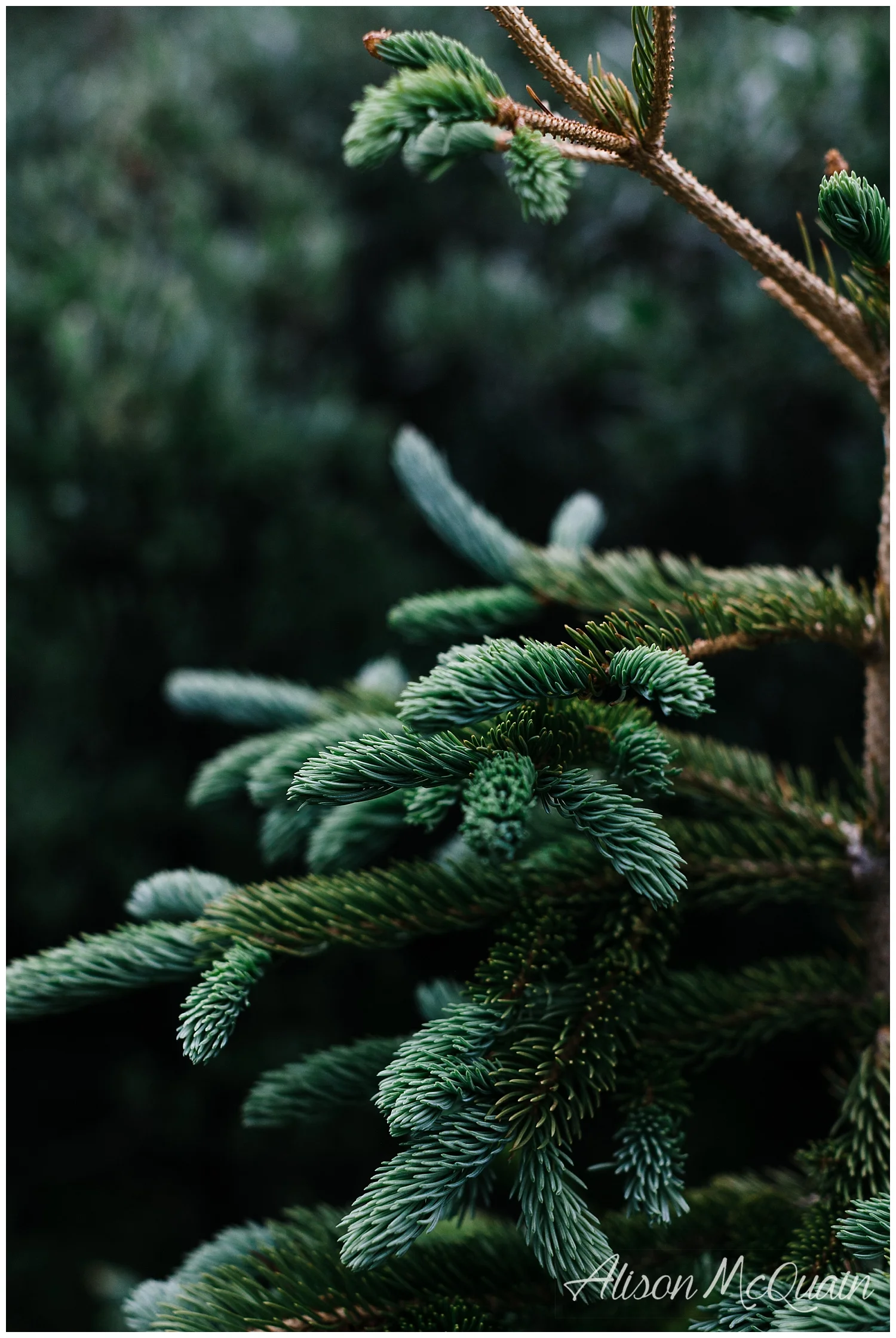 2018_Personal_top9_AMP_0004.jpg
