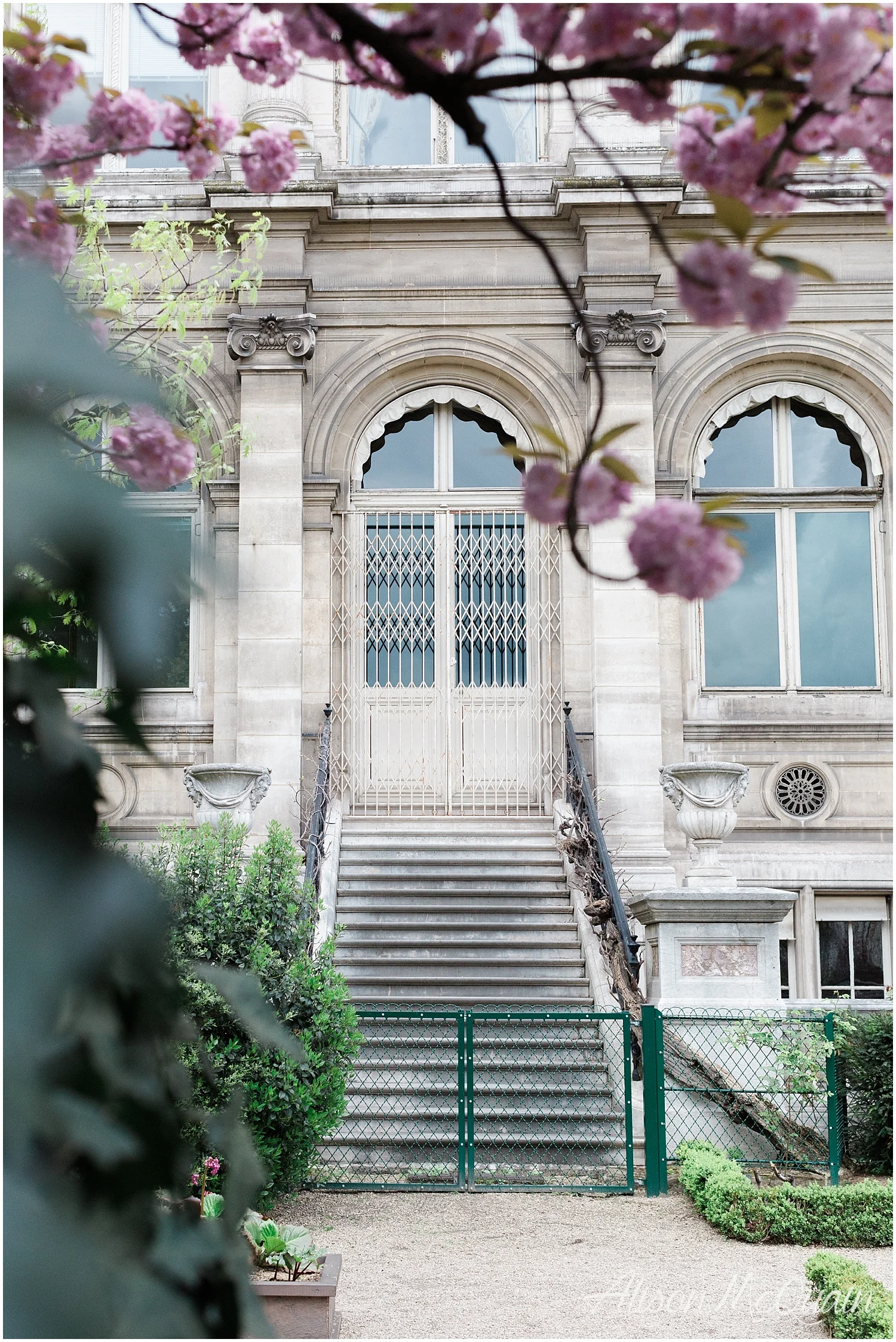 France_Paris_Marseille_Cassis_alisonmcquainphtography2018-04-27_0021.jpg