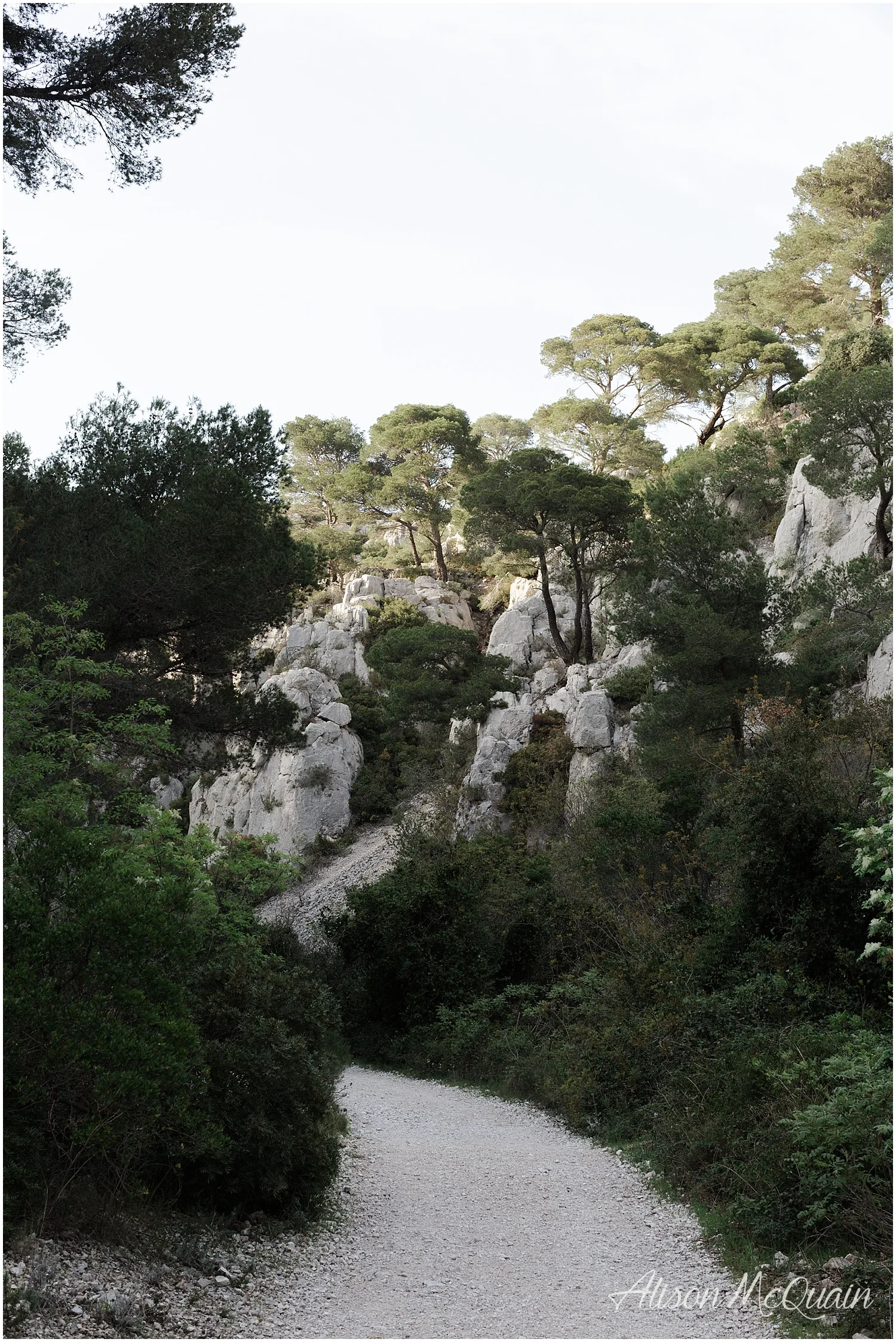 France_Paris_Marseille_Cassis_alisonmcquainphtography2018-04-27_0047.jpg