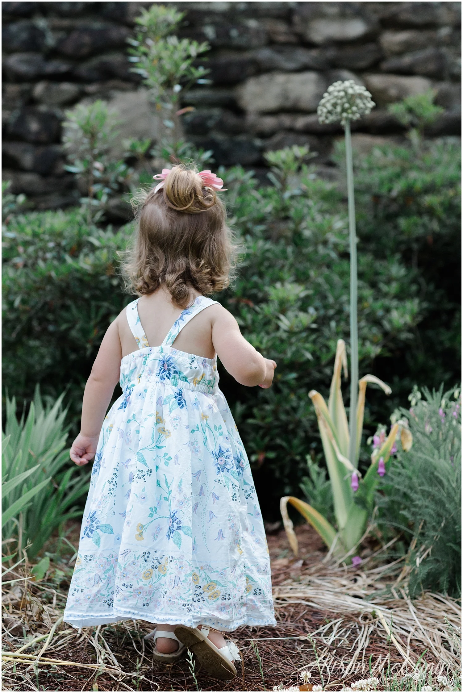 O'Keefe_Knoxville_Family_KnoxvilleBotanicalGardens_amp2018-07-03_0034.jpg