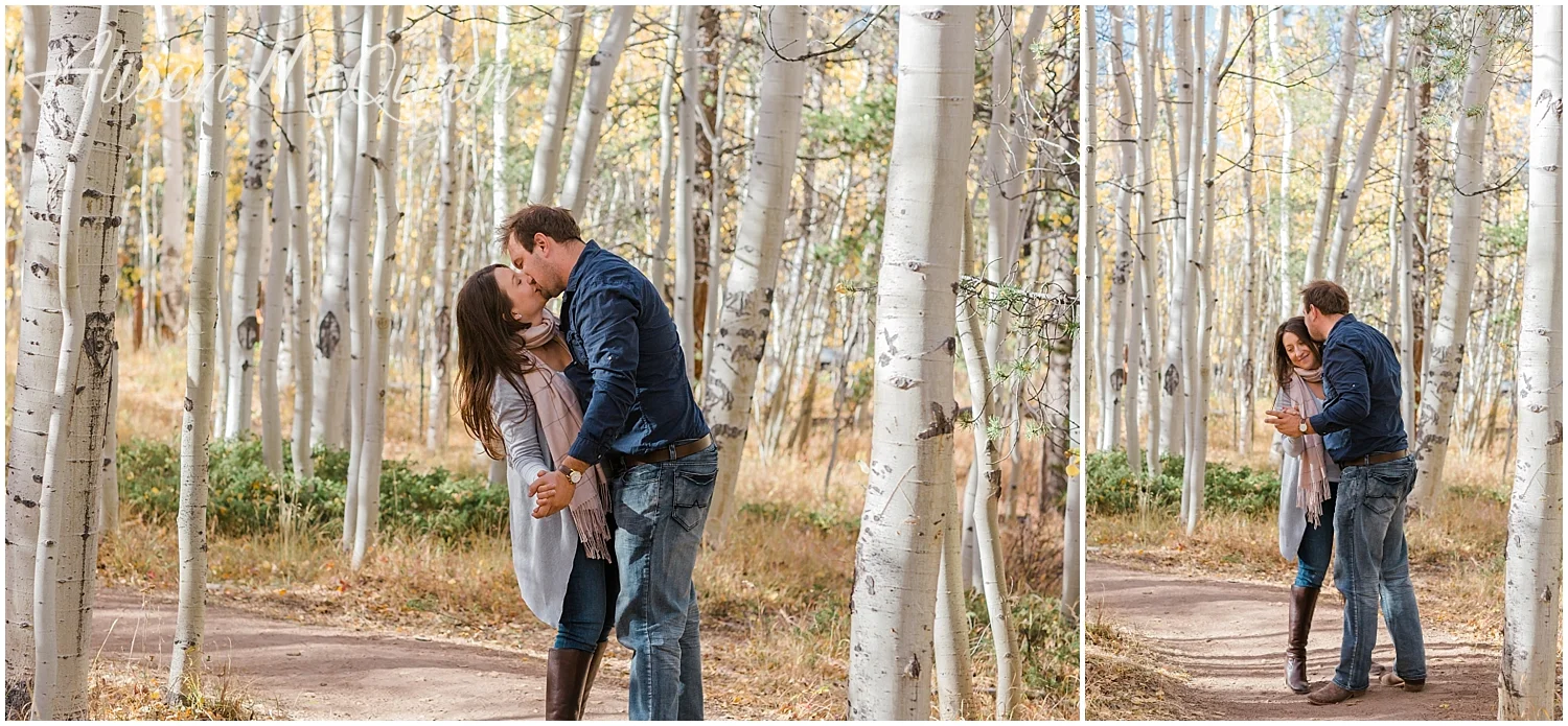 Engagement_Andrea_Andy_Fall_KenoshaPass_Colorado_AlisonMcQuainPhotography_0033.jpg