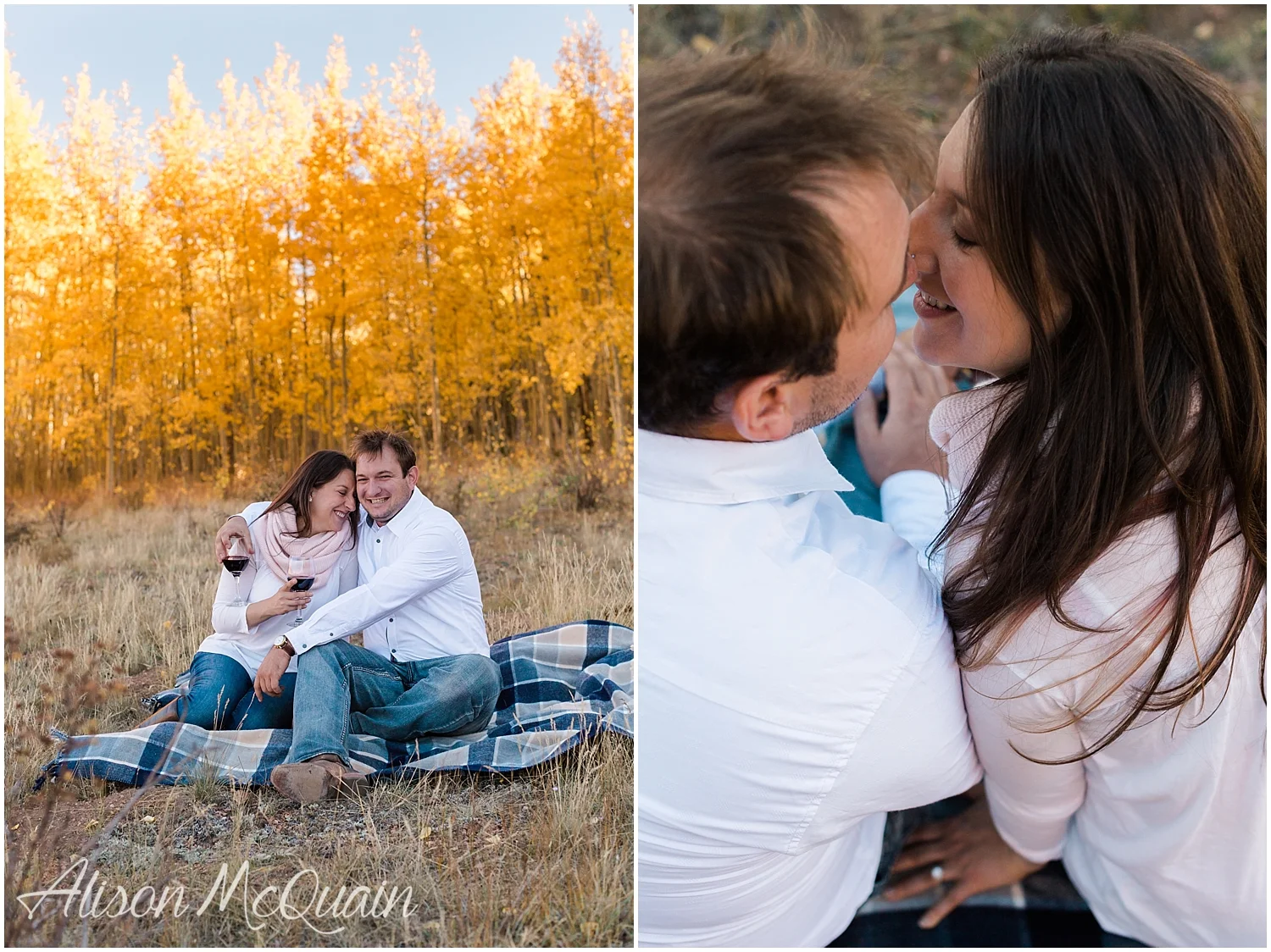 Engagement_Andrea_Andy_Fall_KenoshaPass_Colorado_AlisonMcQuainPhotography_0005.jpg