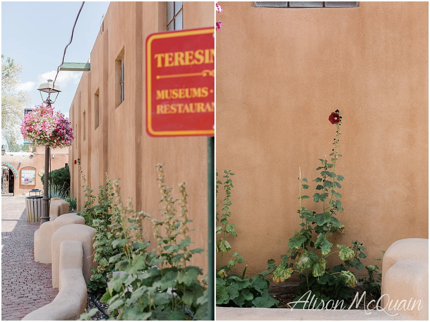 Meanwhile…back in Taos.
