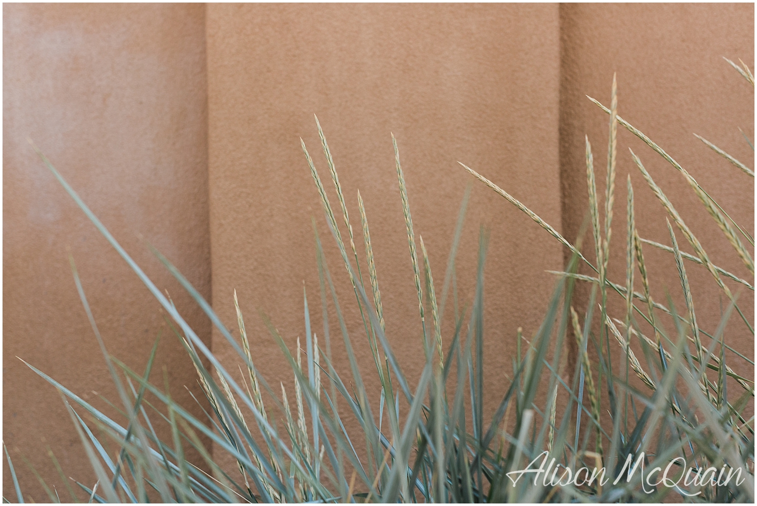 NewMexico_Travel_ColoradoPhotographer_AlisonMcQuainPhotography_0016.jpg