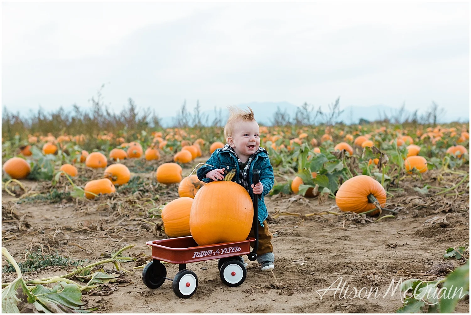 Family_RockCreekFarms_Fall_AlisonMcQuainPhotography_0014.jpg