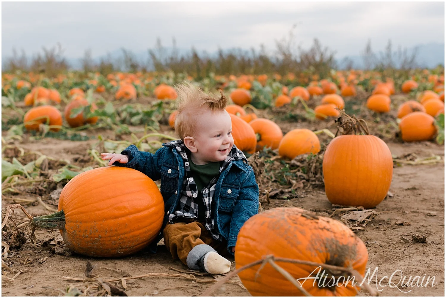 Family_RockCreekFarms_Fall_AlisonMcQuainPhotography_0011.jpg