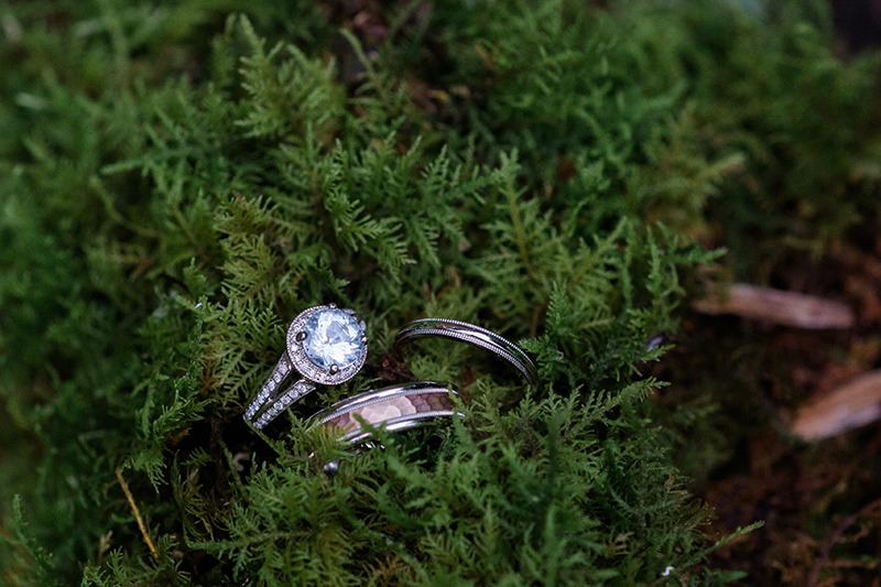 CandL_wedding_DancingBearLodge_Townsend_5_2018_AMP-TC3A68356835.png