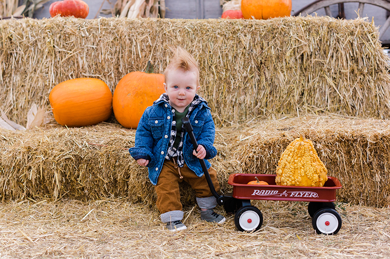 Hedrick_Family_RockCreekFarm_10_2018_AMP-TC3A9440.png