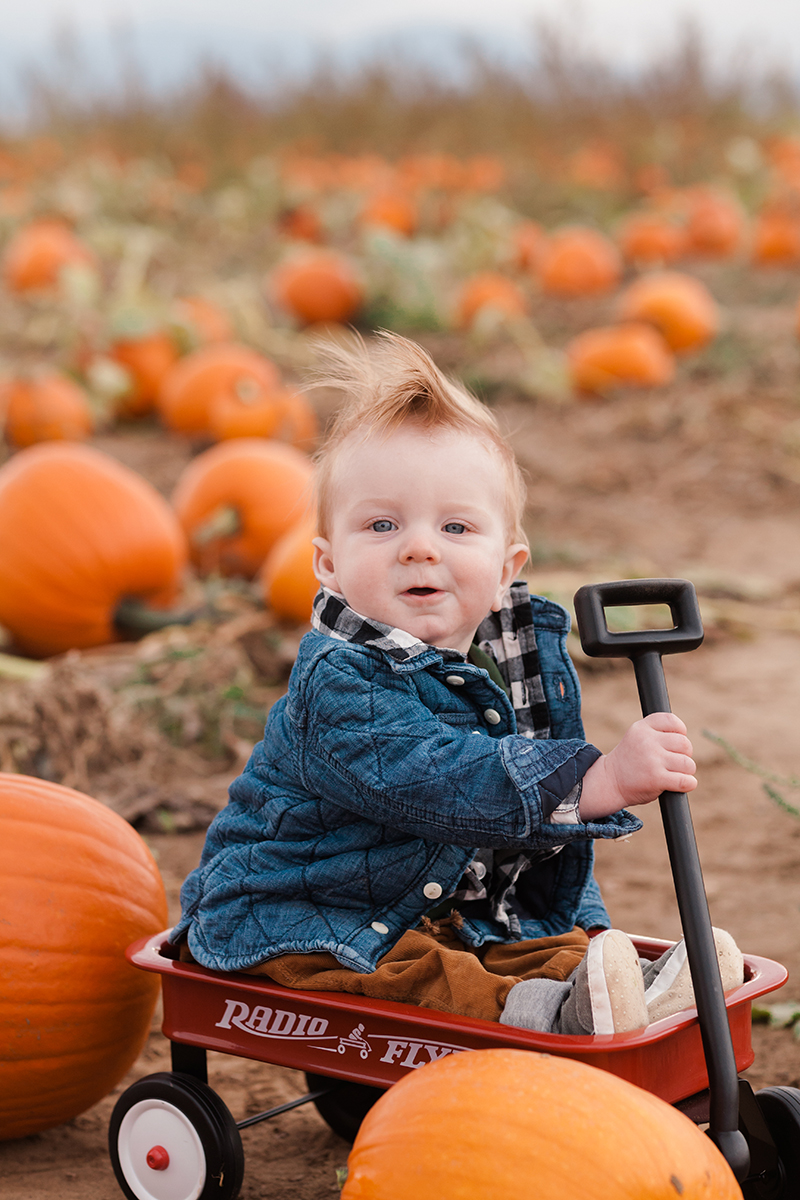 Hedrick_Family_RockCreekFarm_10_2018_AMP-_MG_9569.png