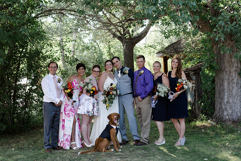 Stebbins_Wedding_8_2018_LoneHawkFarm_AMP-TC3A5131.png