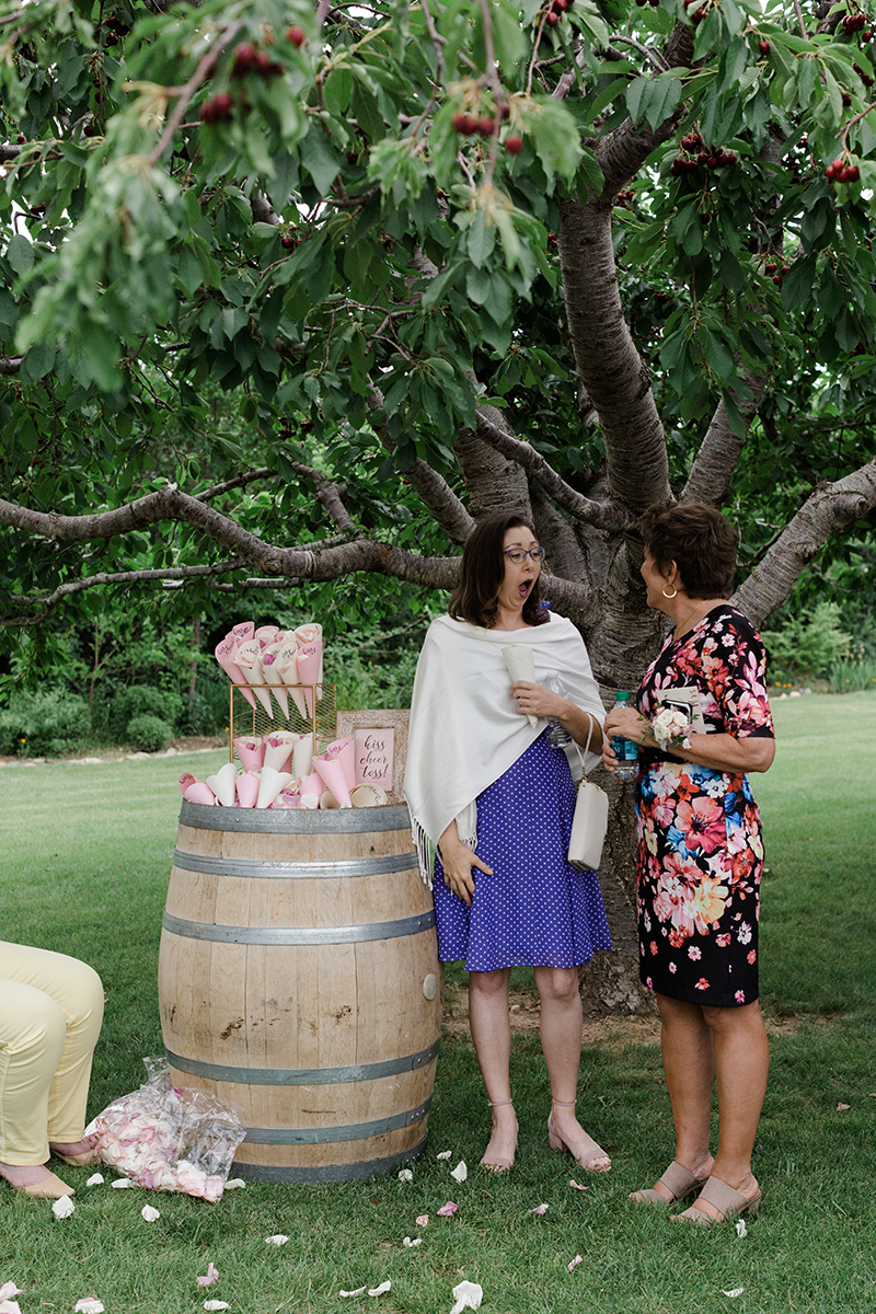 NandZ_wedding_WeddingHouseatPalisade_6_2018_AMP-TC3A0076.png