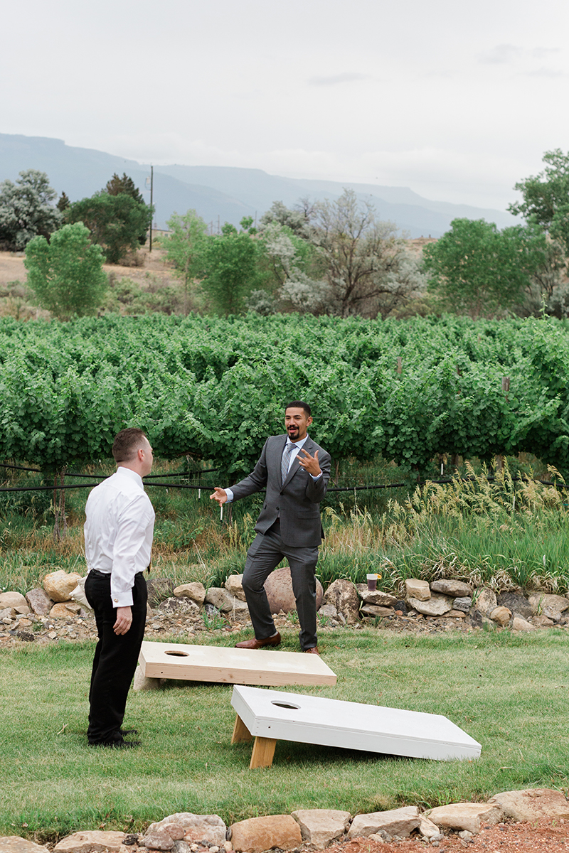 NandZ_wedding_WeddingHouseatPalisade_6_2018_AMP-TC3A0674.png