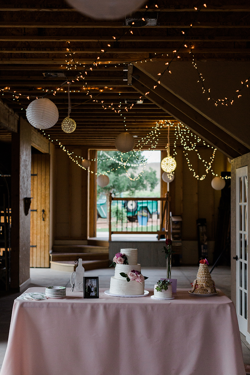 NandZ_wedding_WeddingHouseatPalisade_6_2018_AMP-TC3A0851.png
