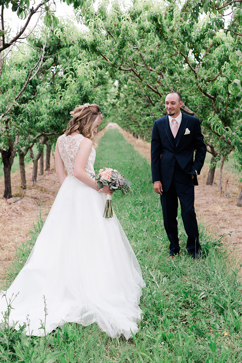NandZ_wedding_WeddingHouseatPalisade_6_2018_AMP-TC3A9761.png