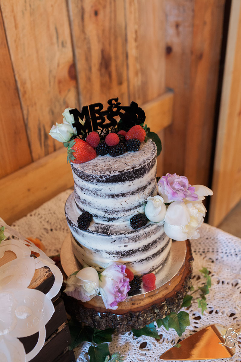 Hickman_Wedding_2017_AMP-4413.png