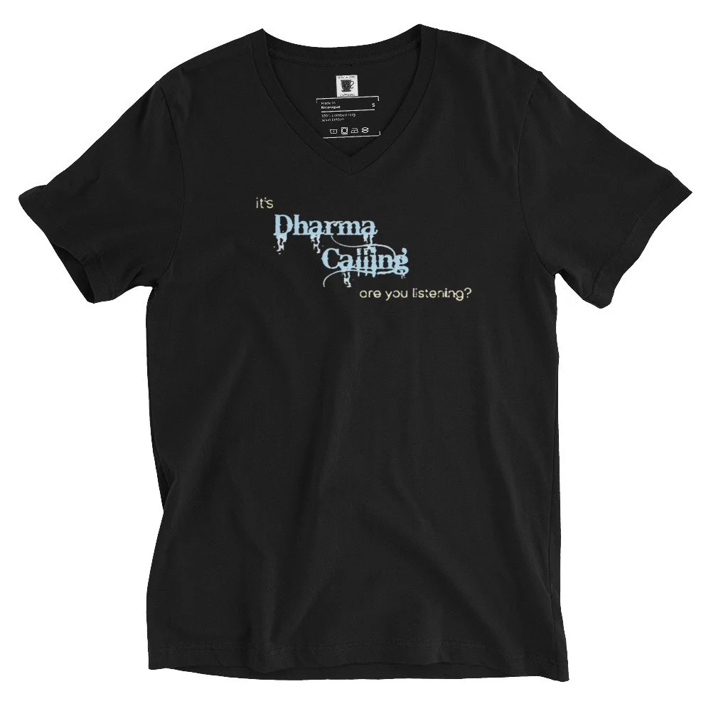 unisex-v-neck-tee-black-front-686717bacadb0.jpg