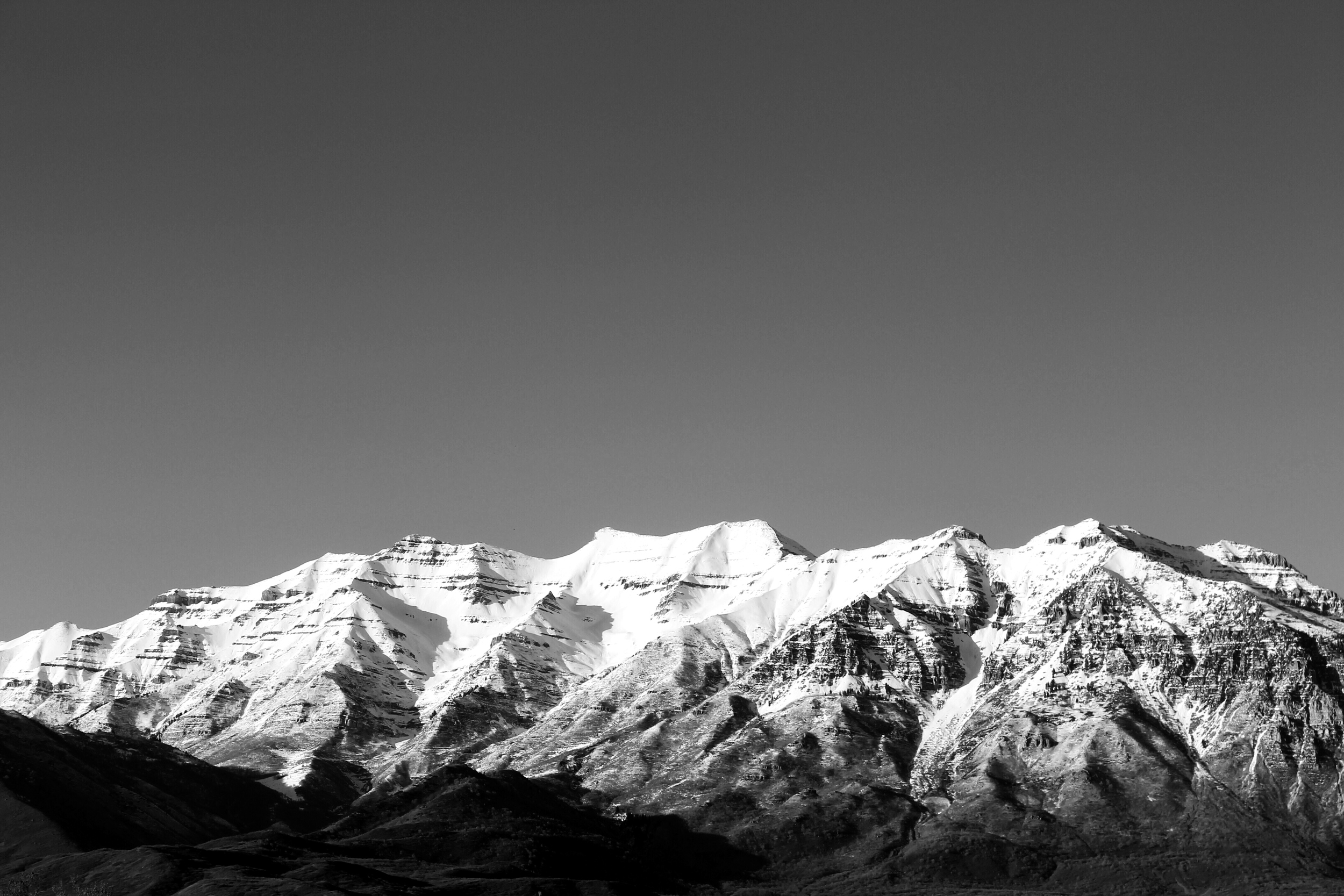 B&W Timp.jpg